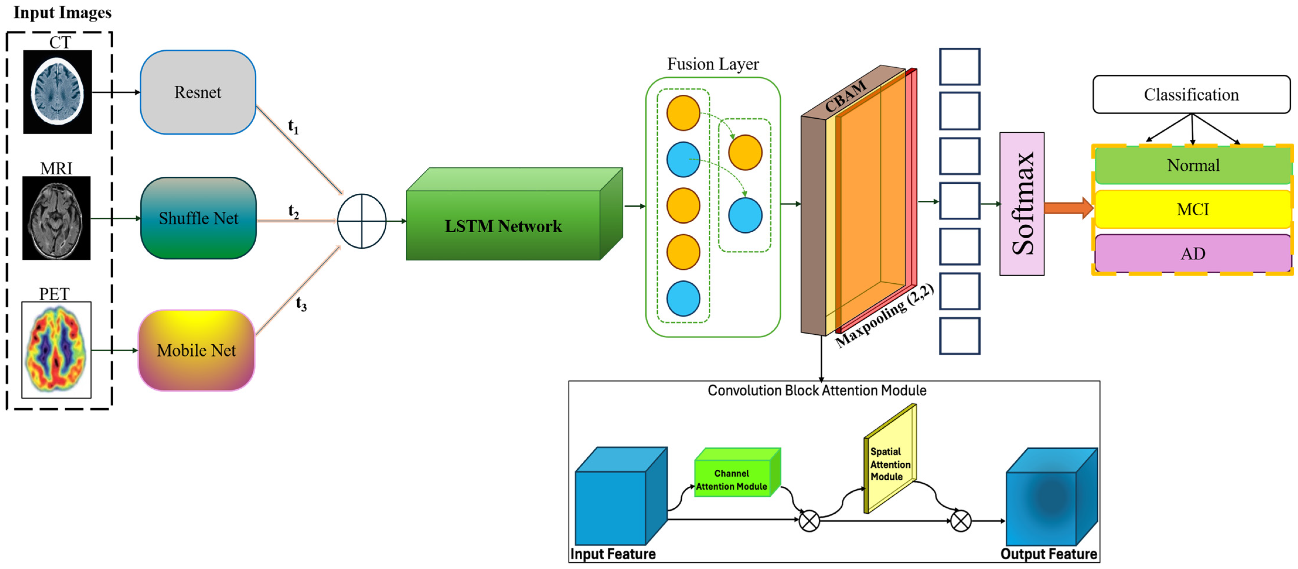 Diagnostics 15 00717 g001