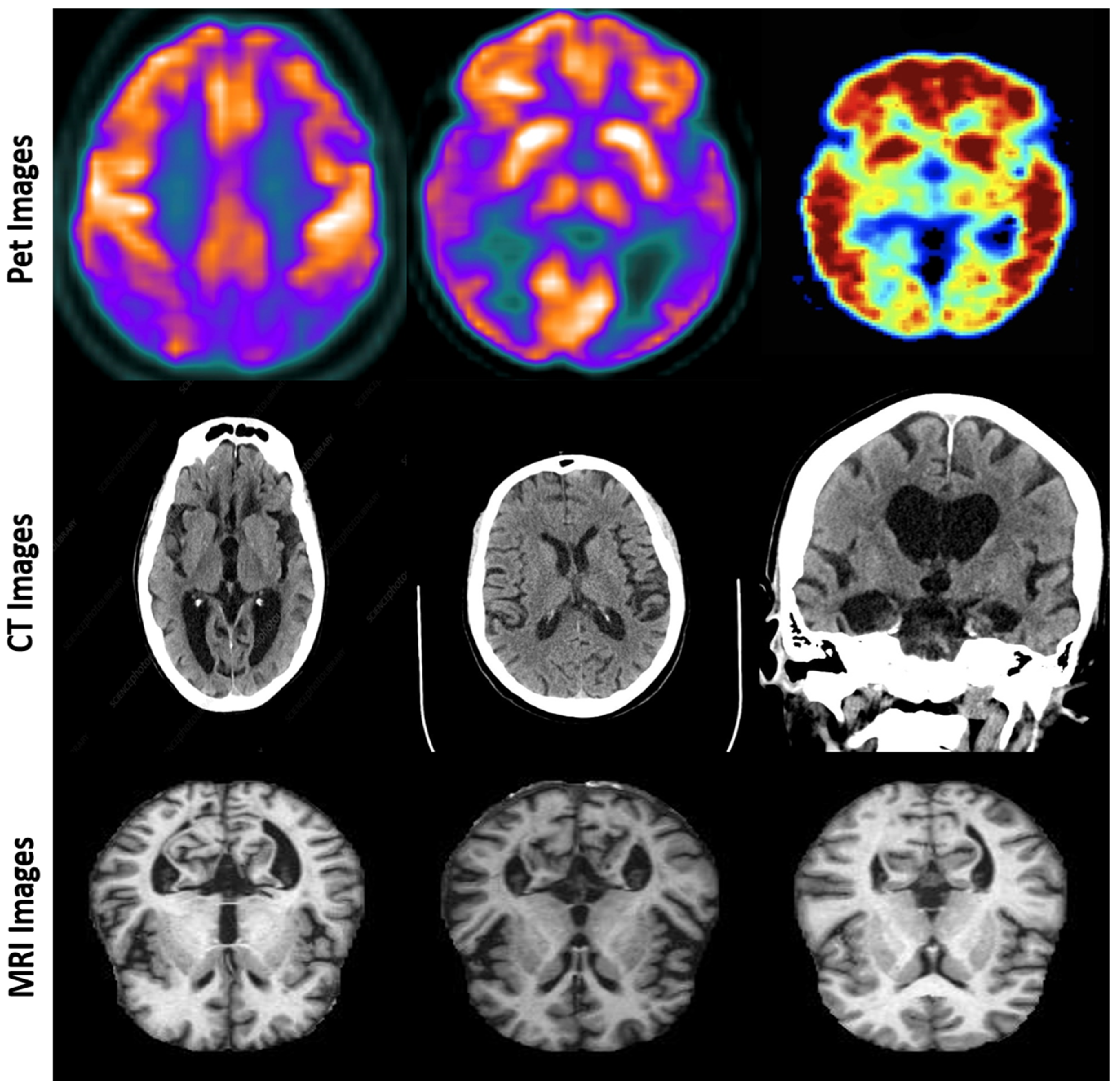 Diagnostics 15 00717 g002