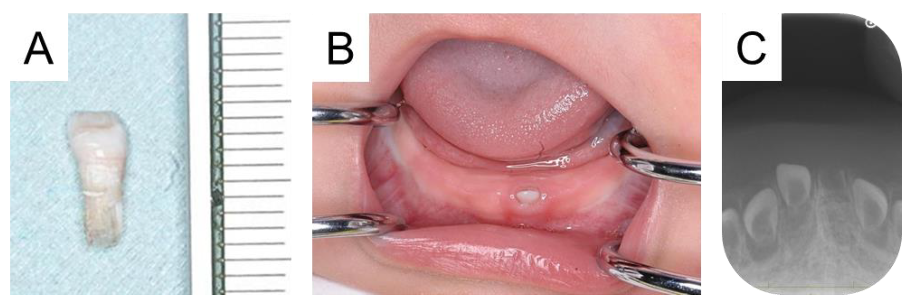 Diagnostics 15 00733 g001