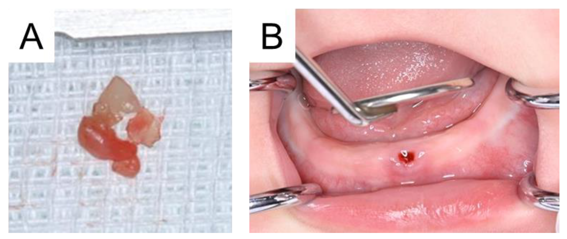 Diagnostics 15 00733 g002