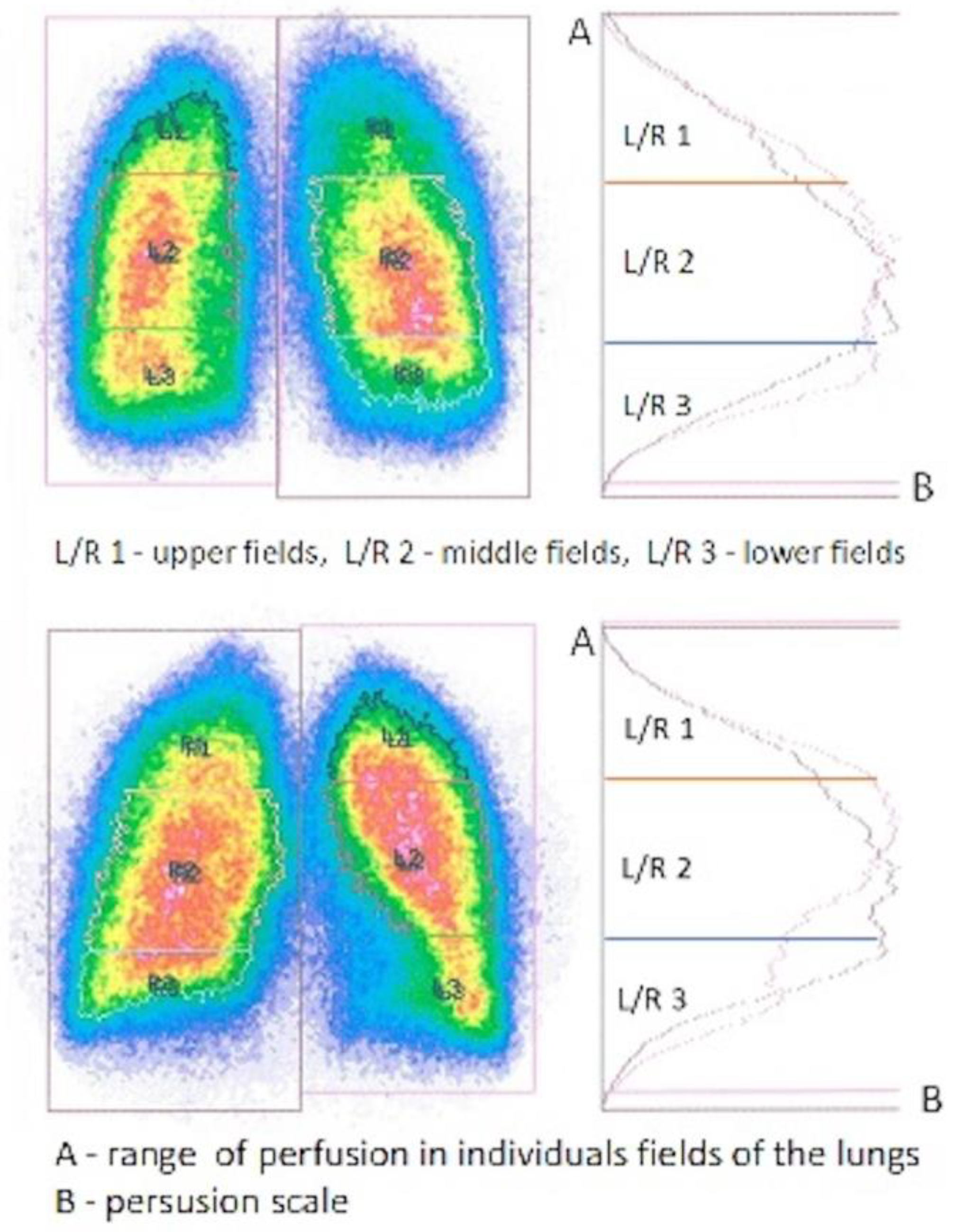 Diagnostics 15 00747 g001
