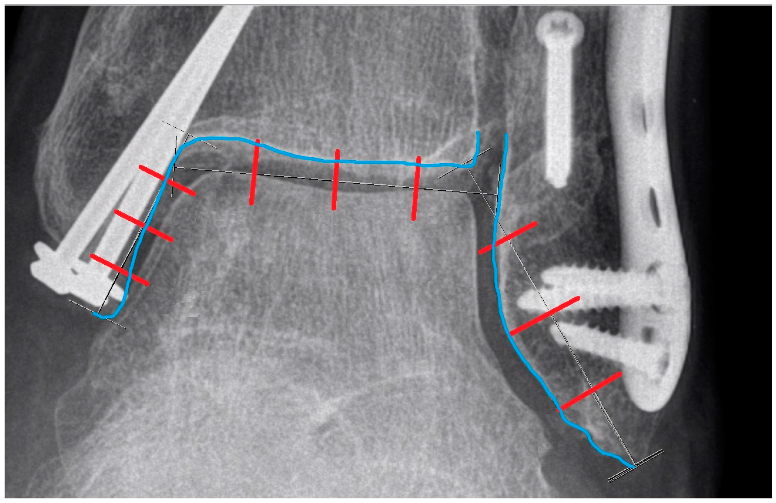 Diagnostics 15 00750 g009