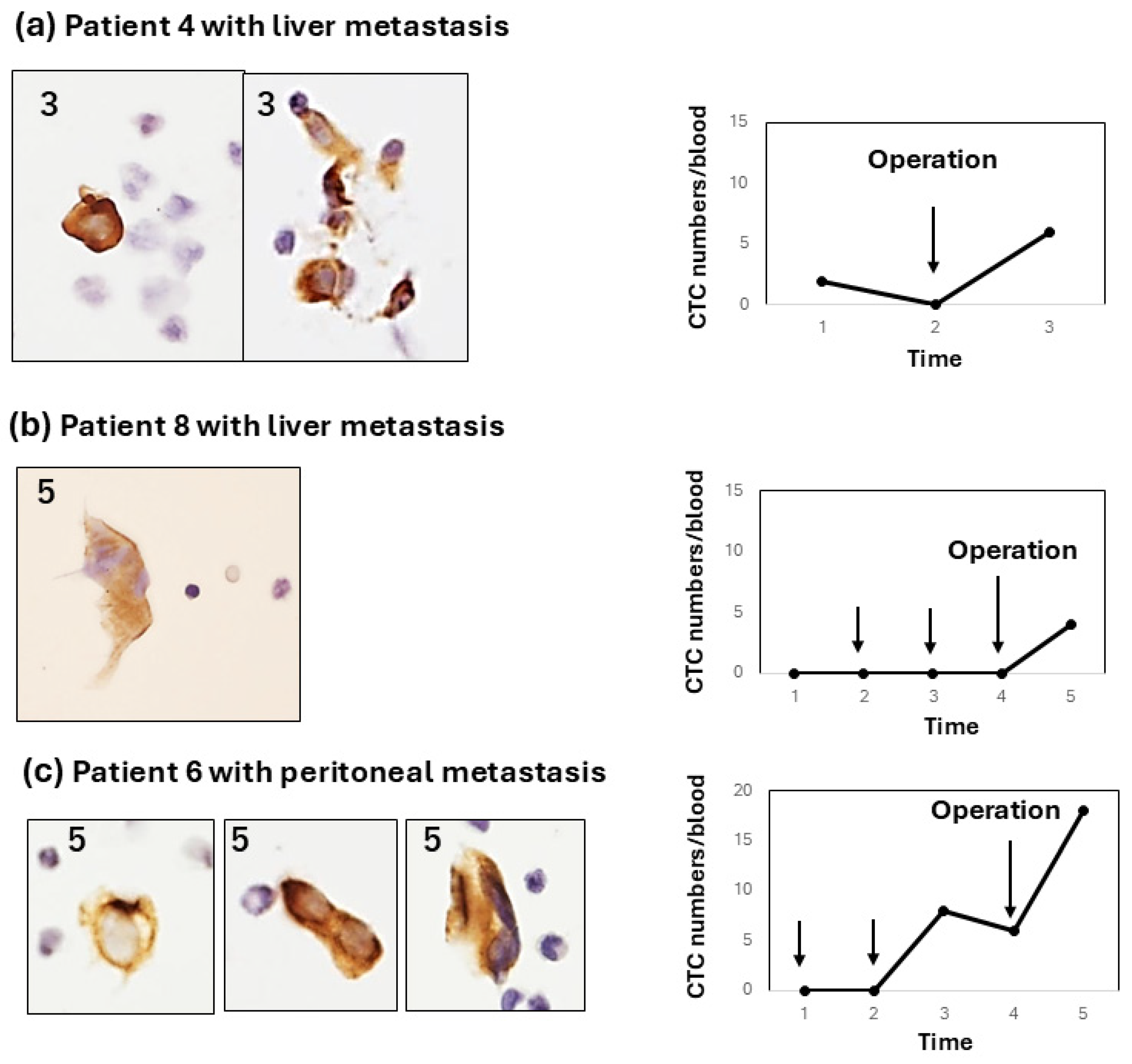 Diagnostics 15 00752 g004