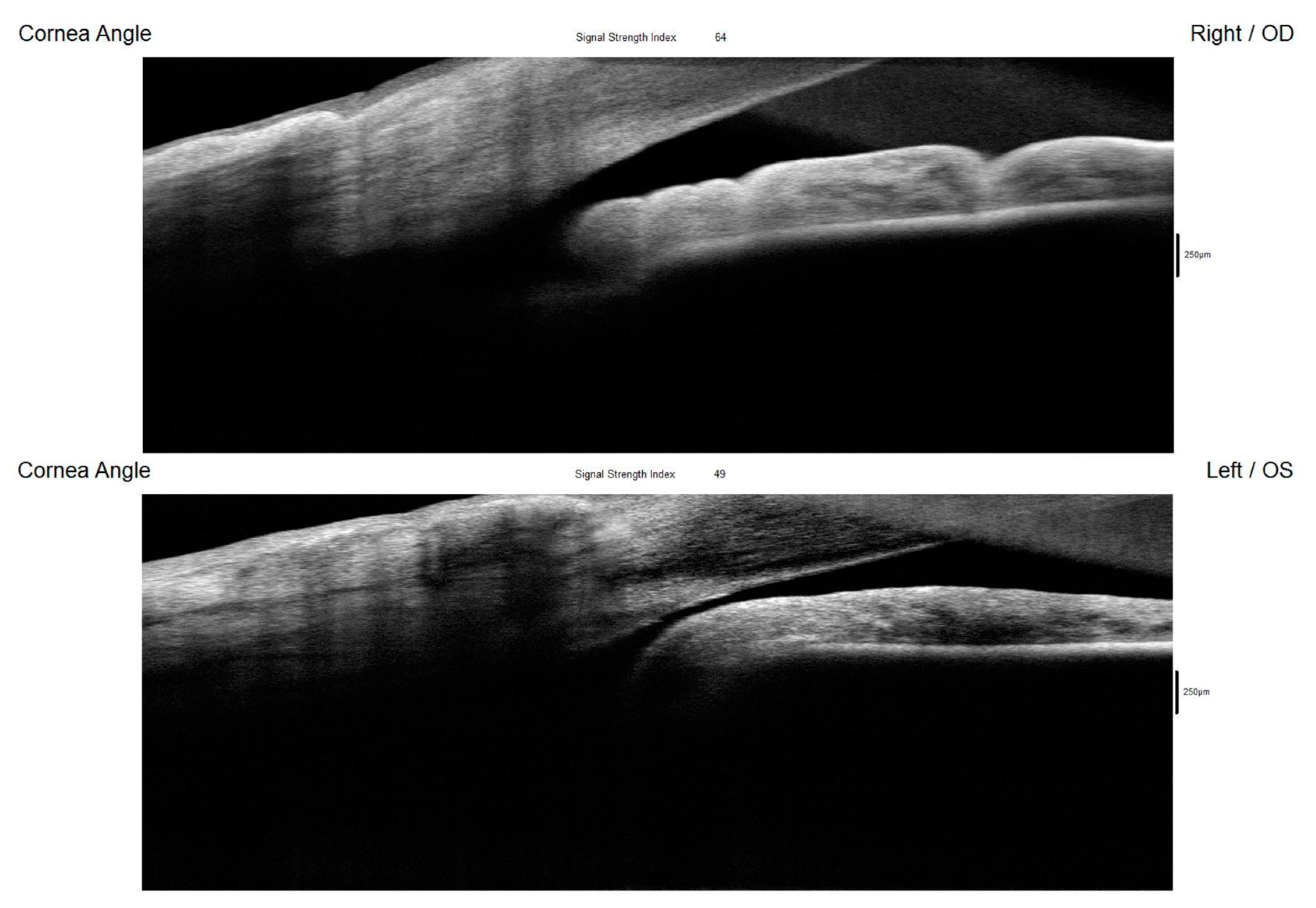 Diagnostics 15 00758 g005