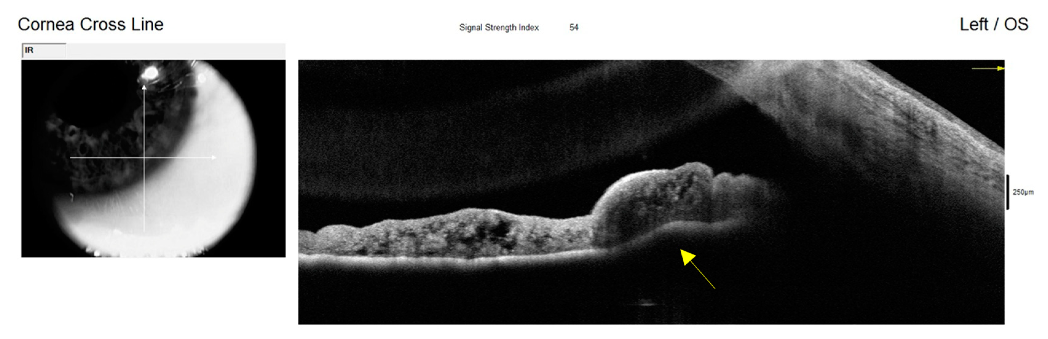 Diagnostics 15 00758 g006