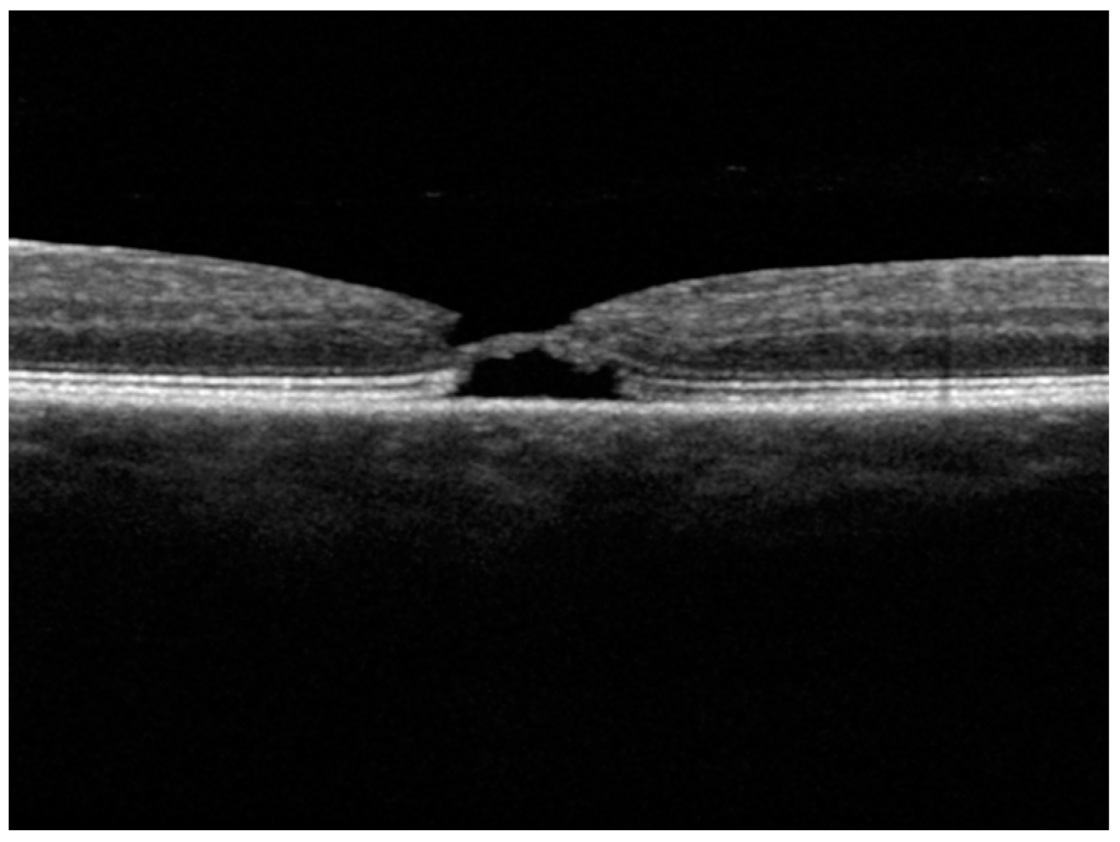 Diagnostics 15 00759 g004