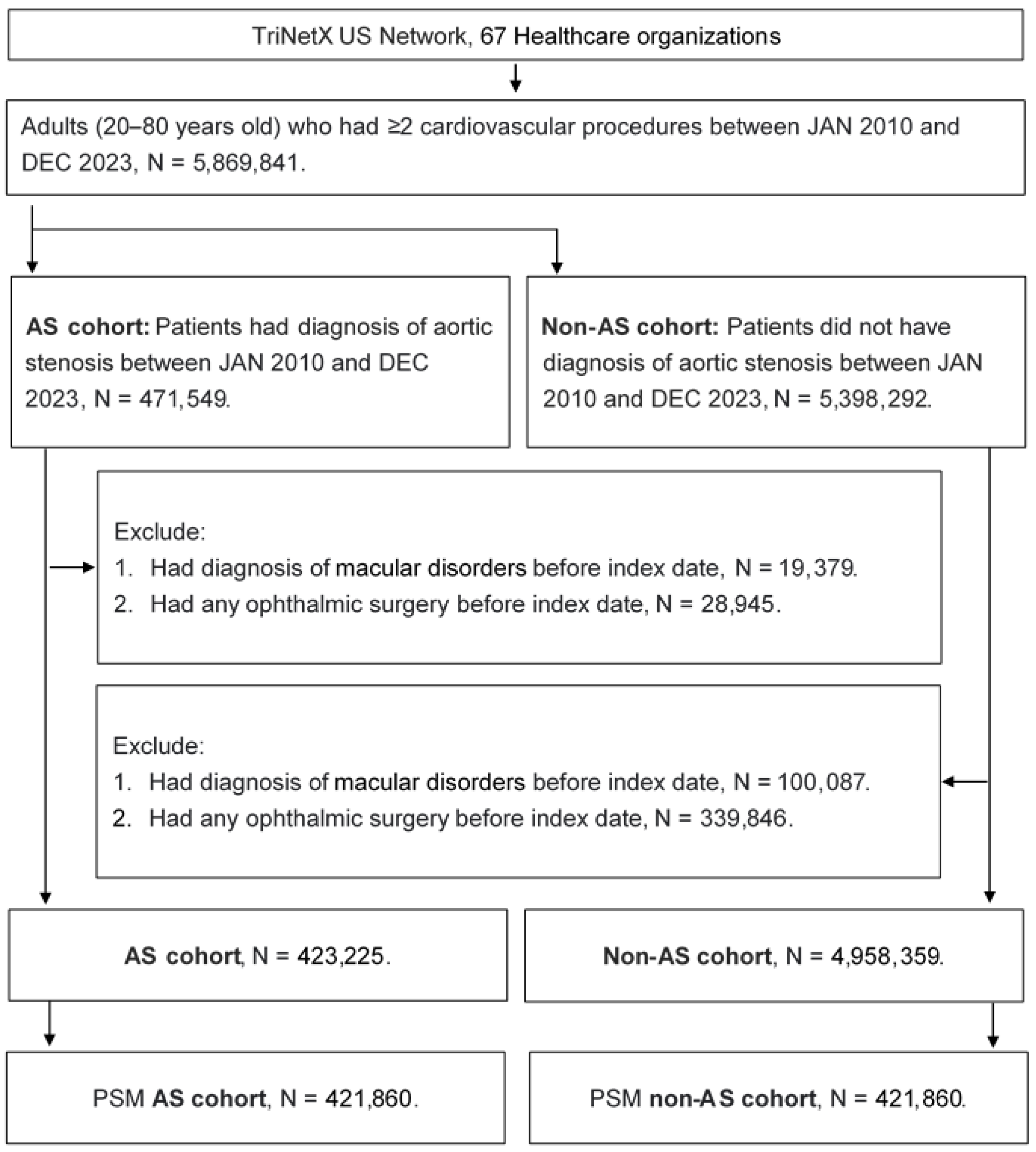 Diagnostics 15 00760 g001