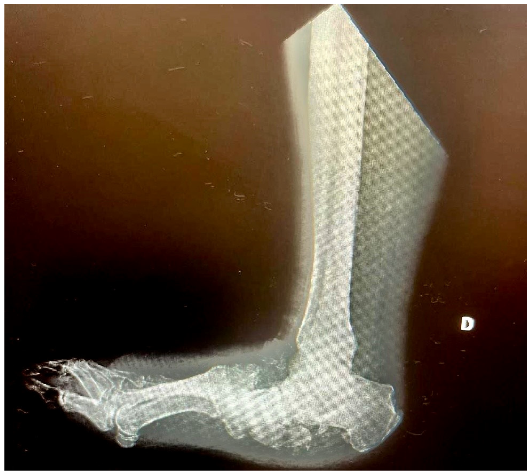 Diagnostics 15 00767 g002