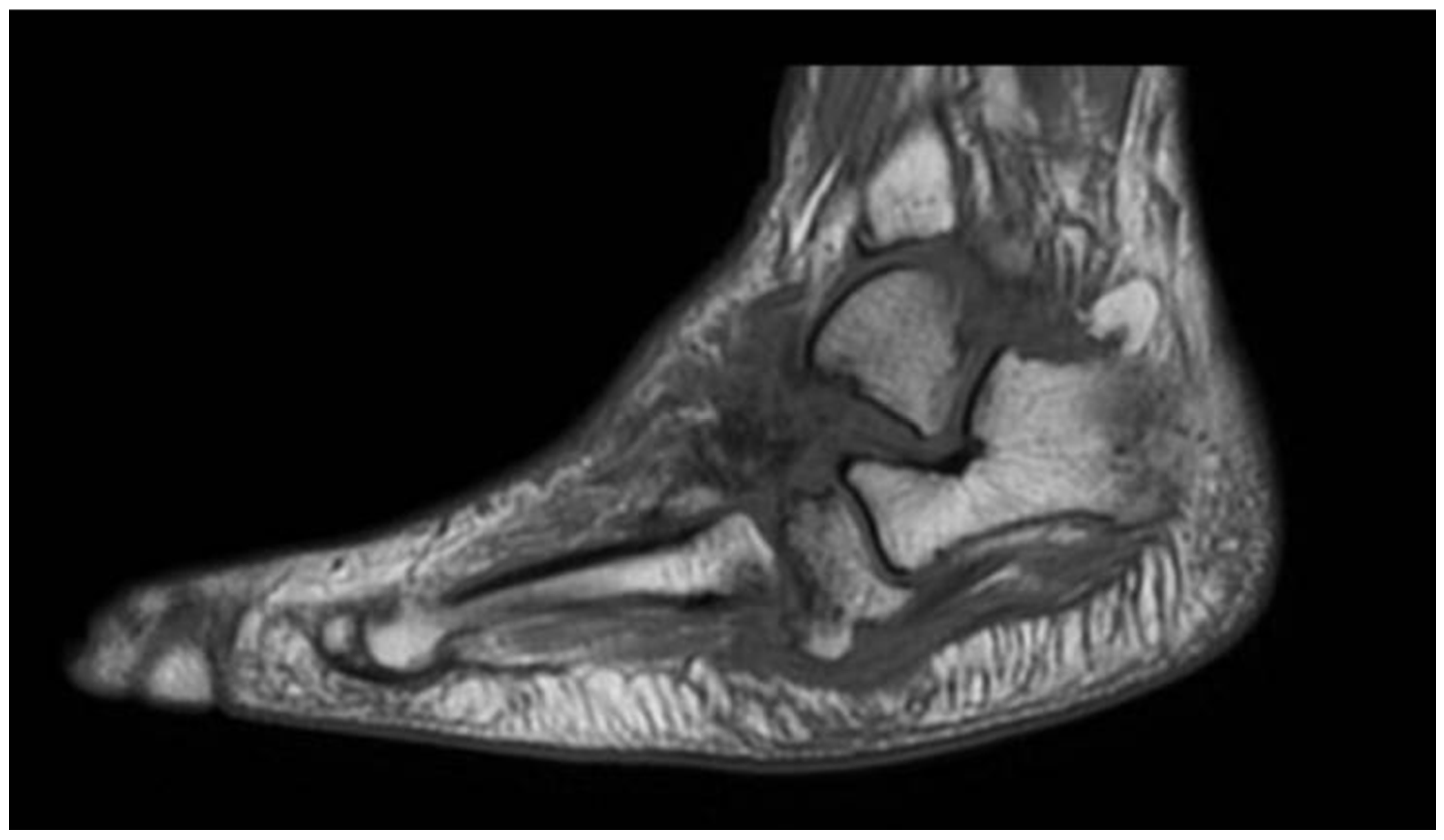 Diagnostics 15 00767 g003