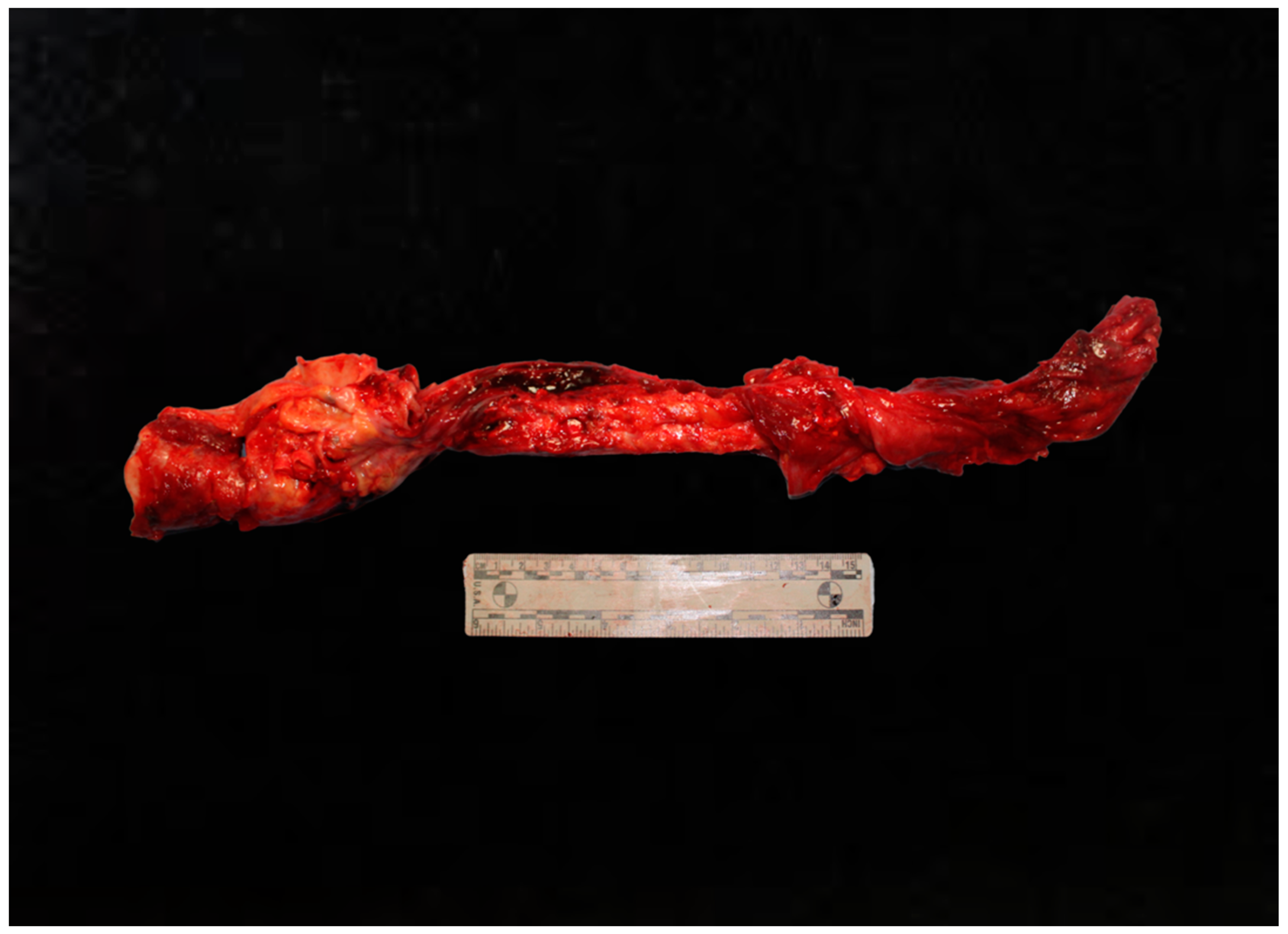 Diagnostics 15 00778 g002