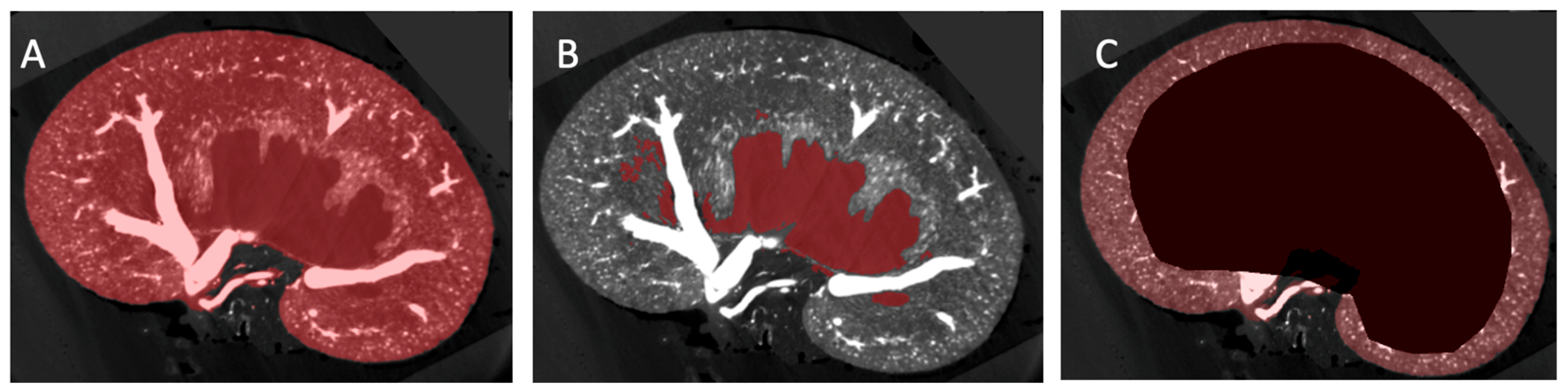 Diagnostics 15 00782 g001