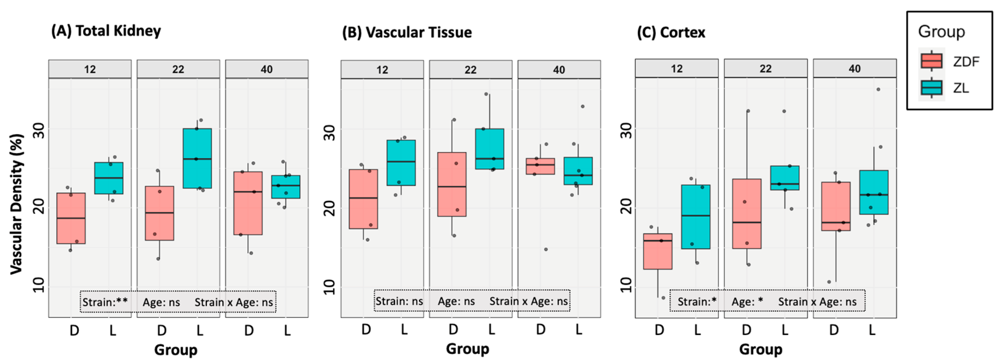 Diagnostics 15 00782 g003