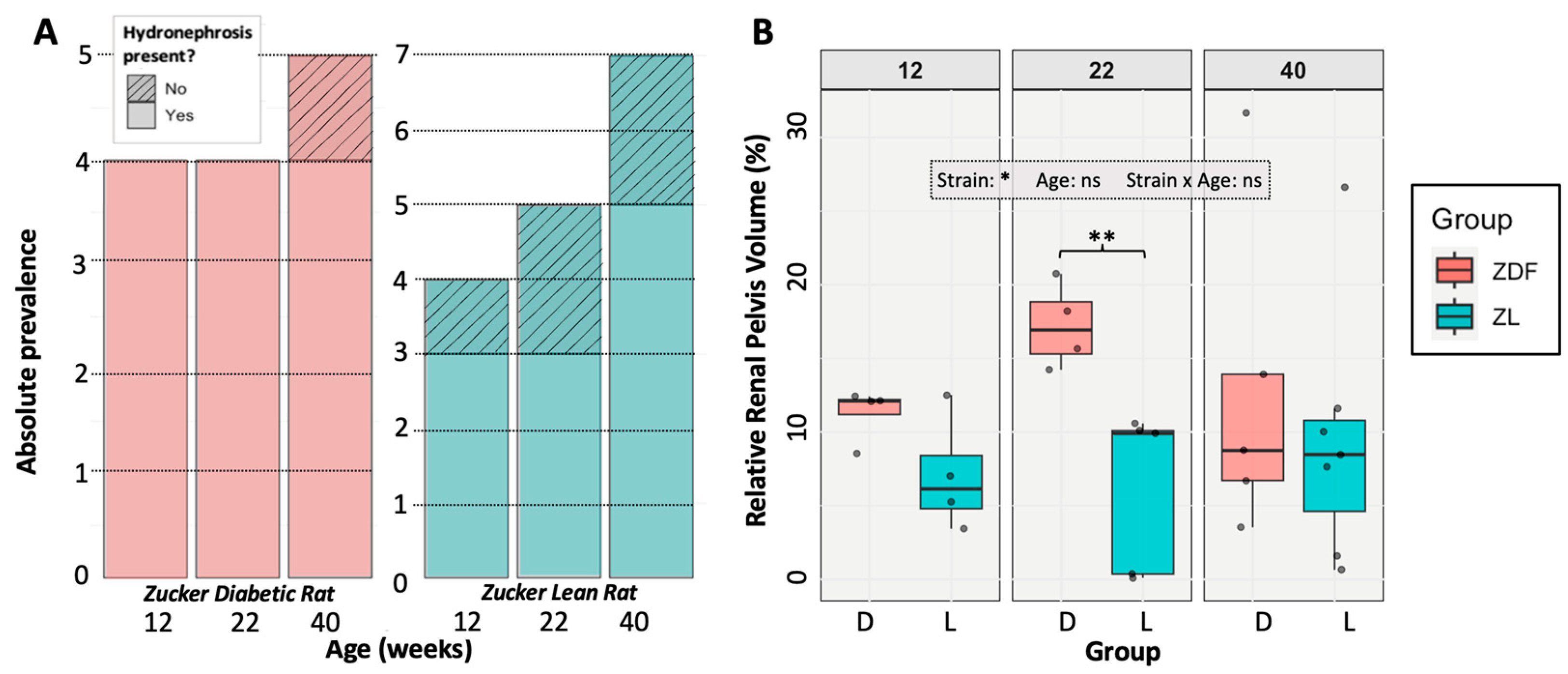 Diagnostics 15 00782 g004
