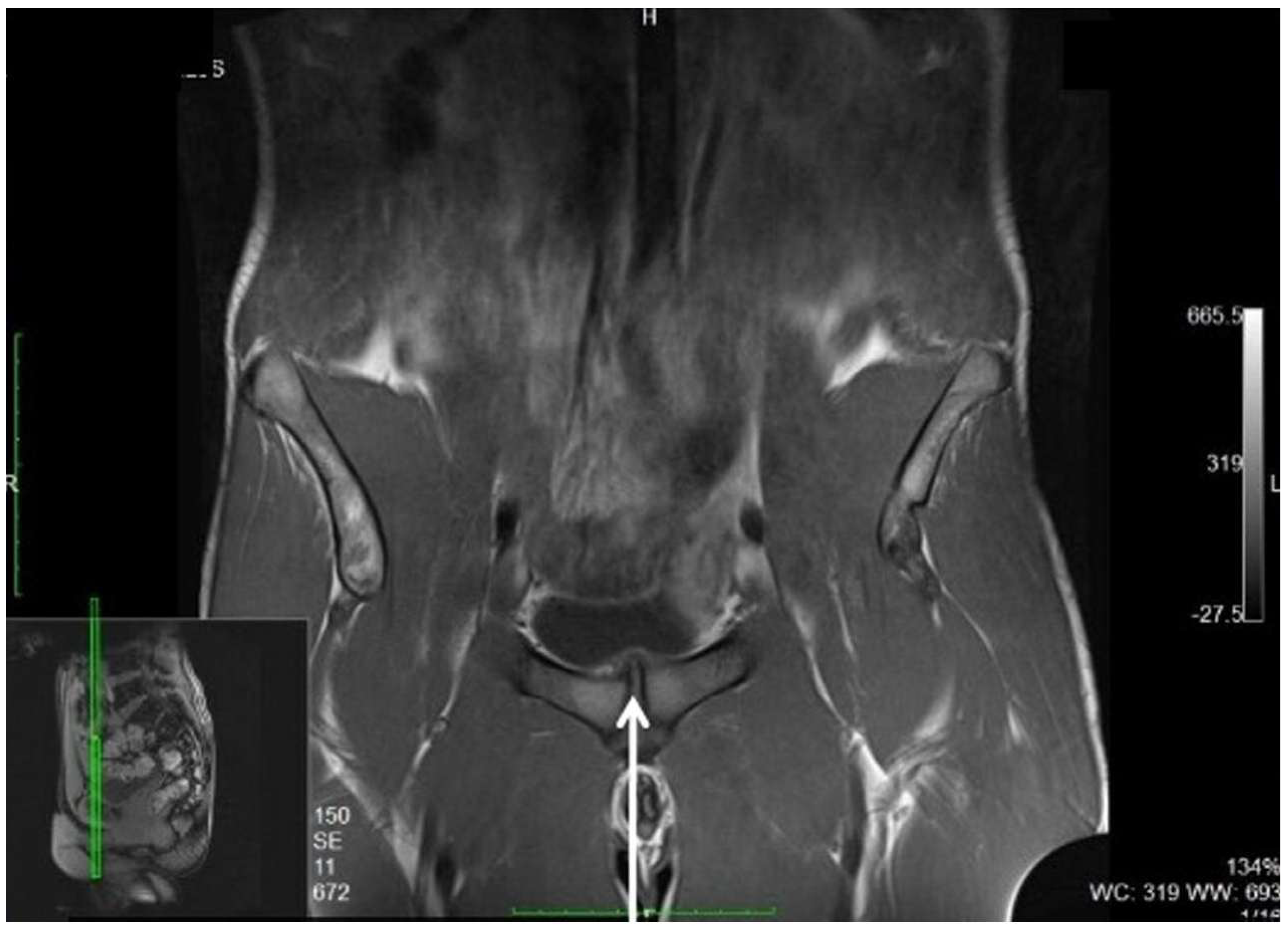 Diagnostics 15 00785 g010