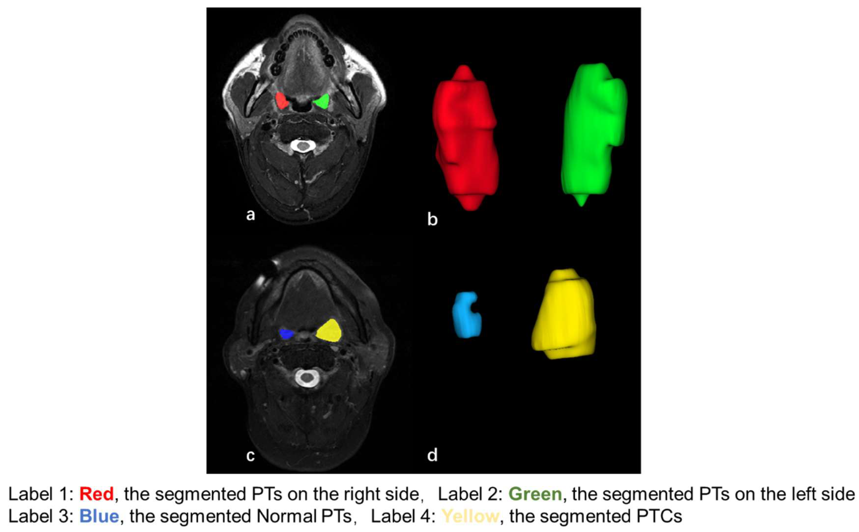 Diagnostics 15 00788 g001