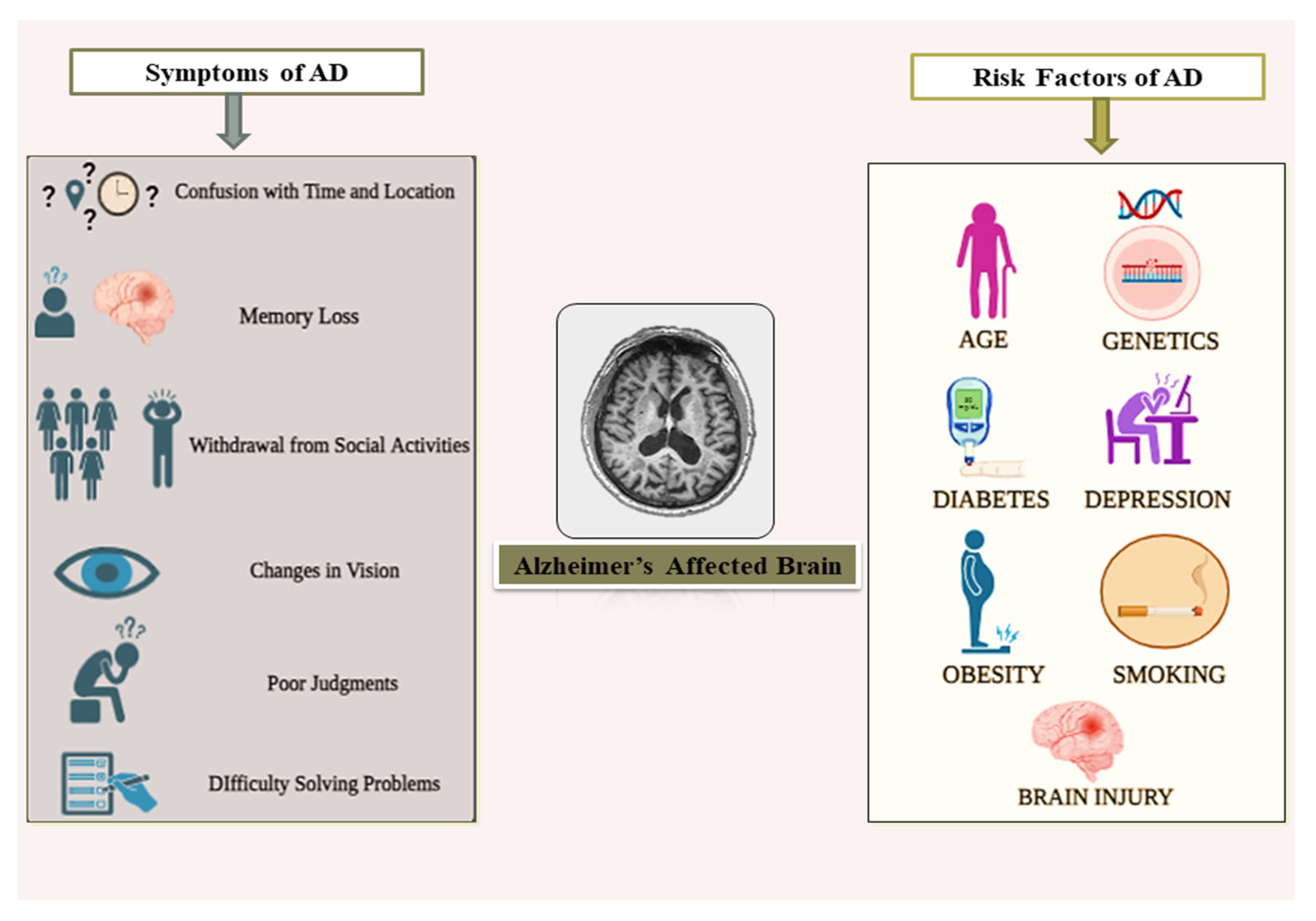 Diagnostics 15 00789 g001