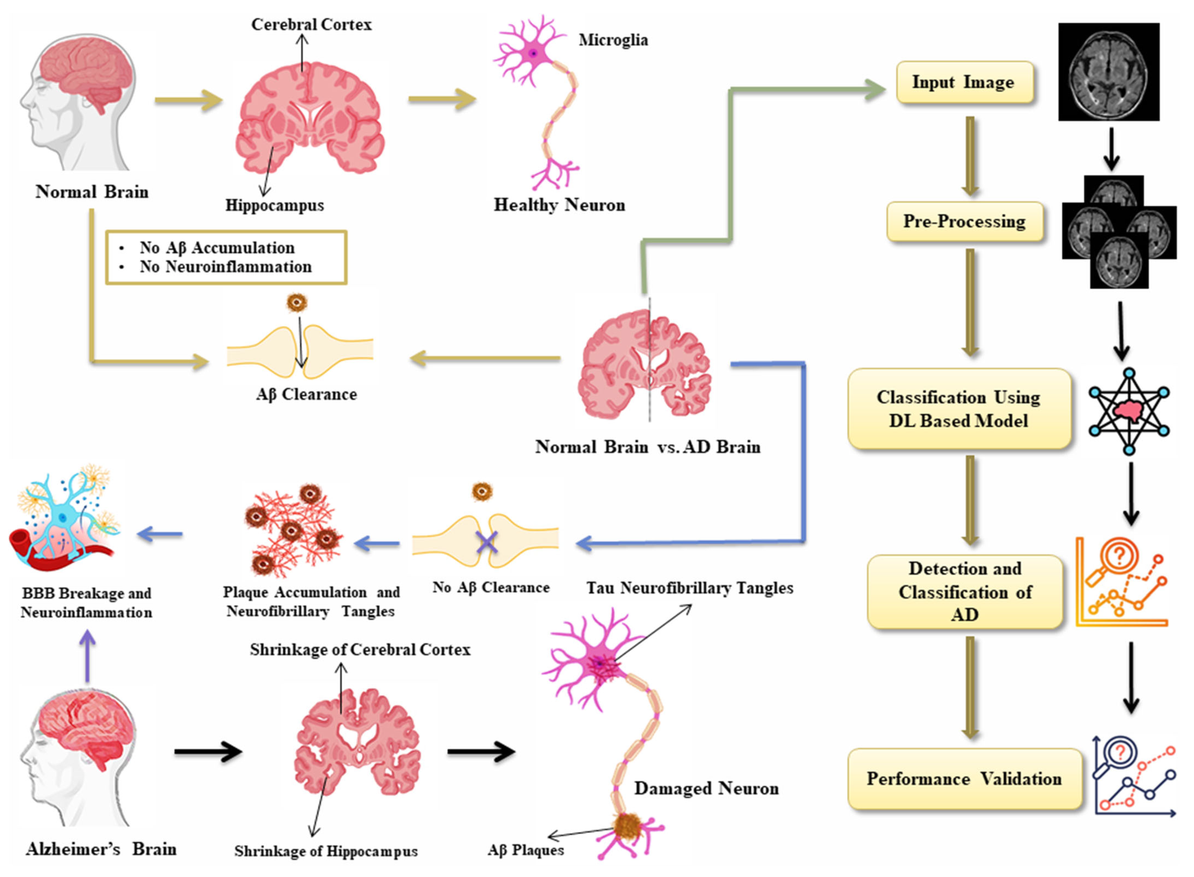 Diagnostics 15 00789 g002