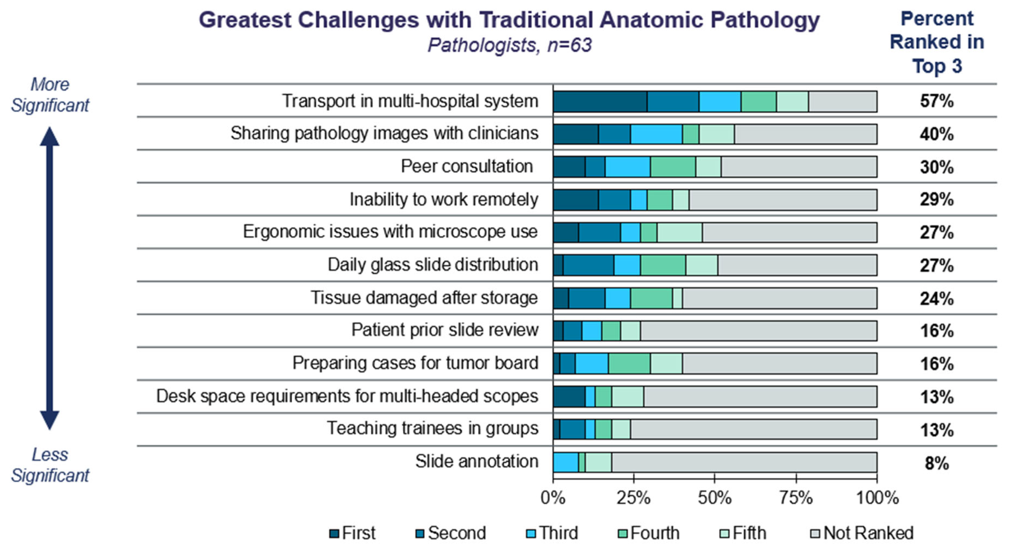 Diagnostics 15 00794 g001