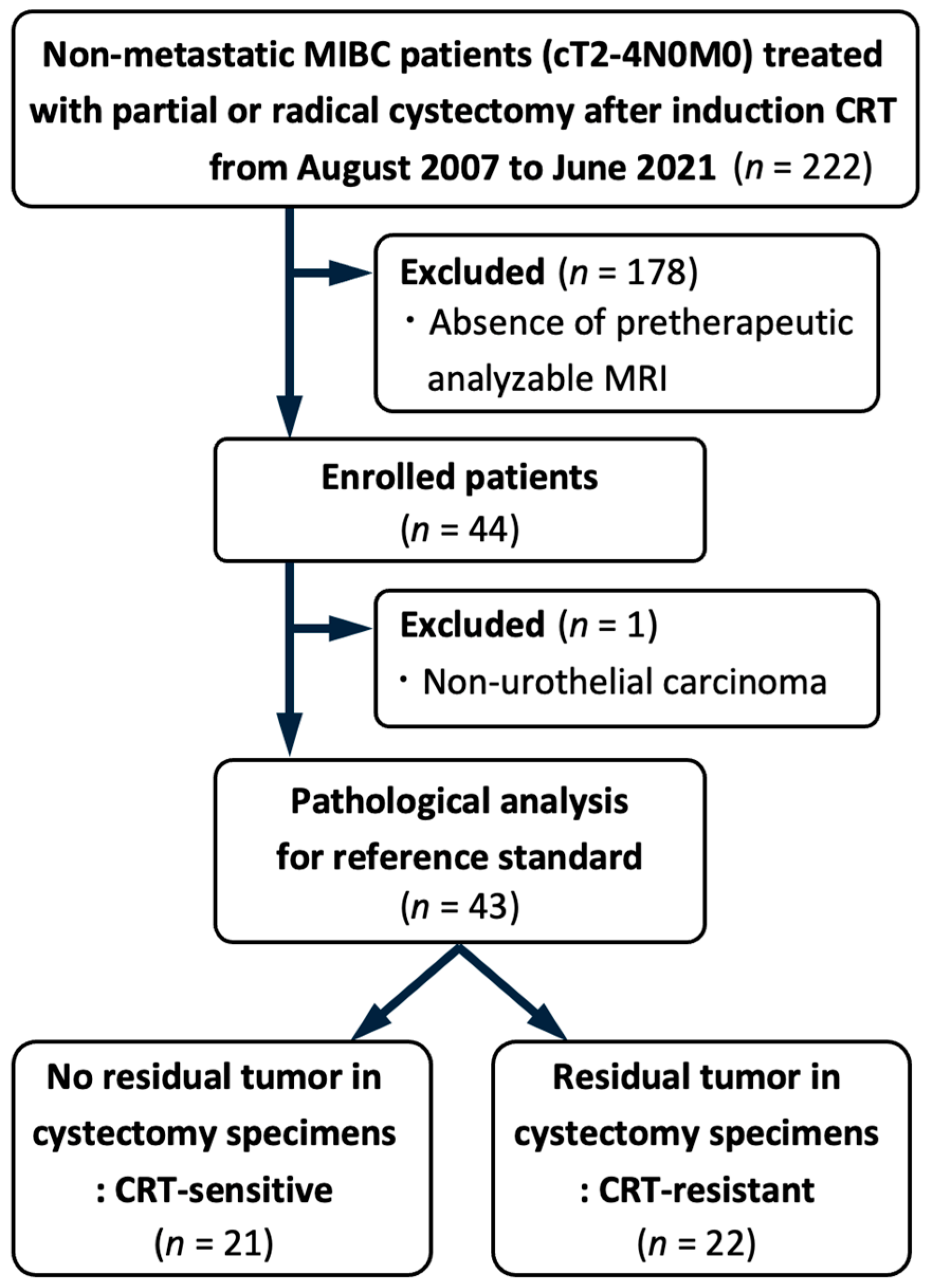 Diagnostics 15 00801 g001