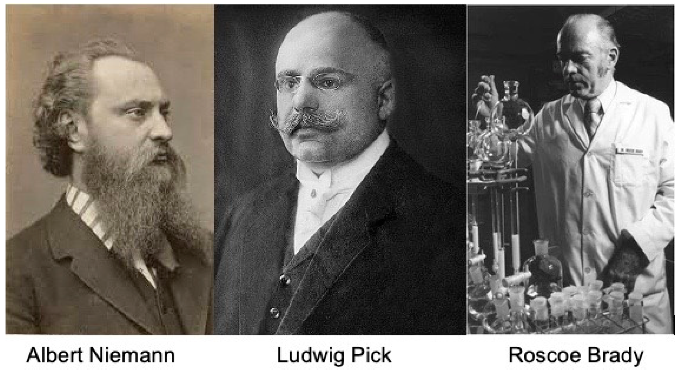 Diagnostics 15 00804 g001