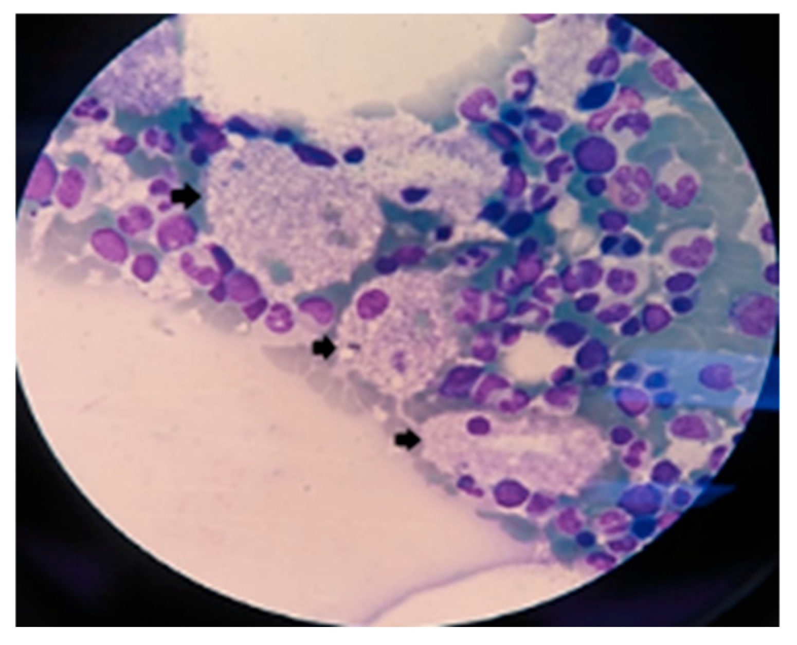 Diagnostics 15 00804 g002