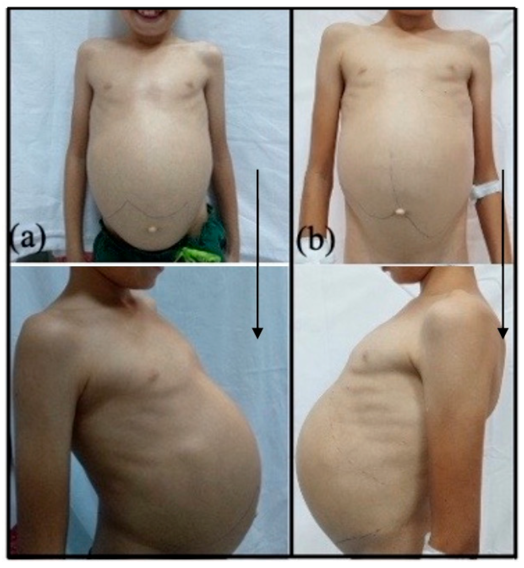 Diagnostics 15 00804 g003