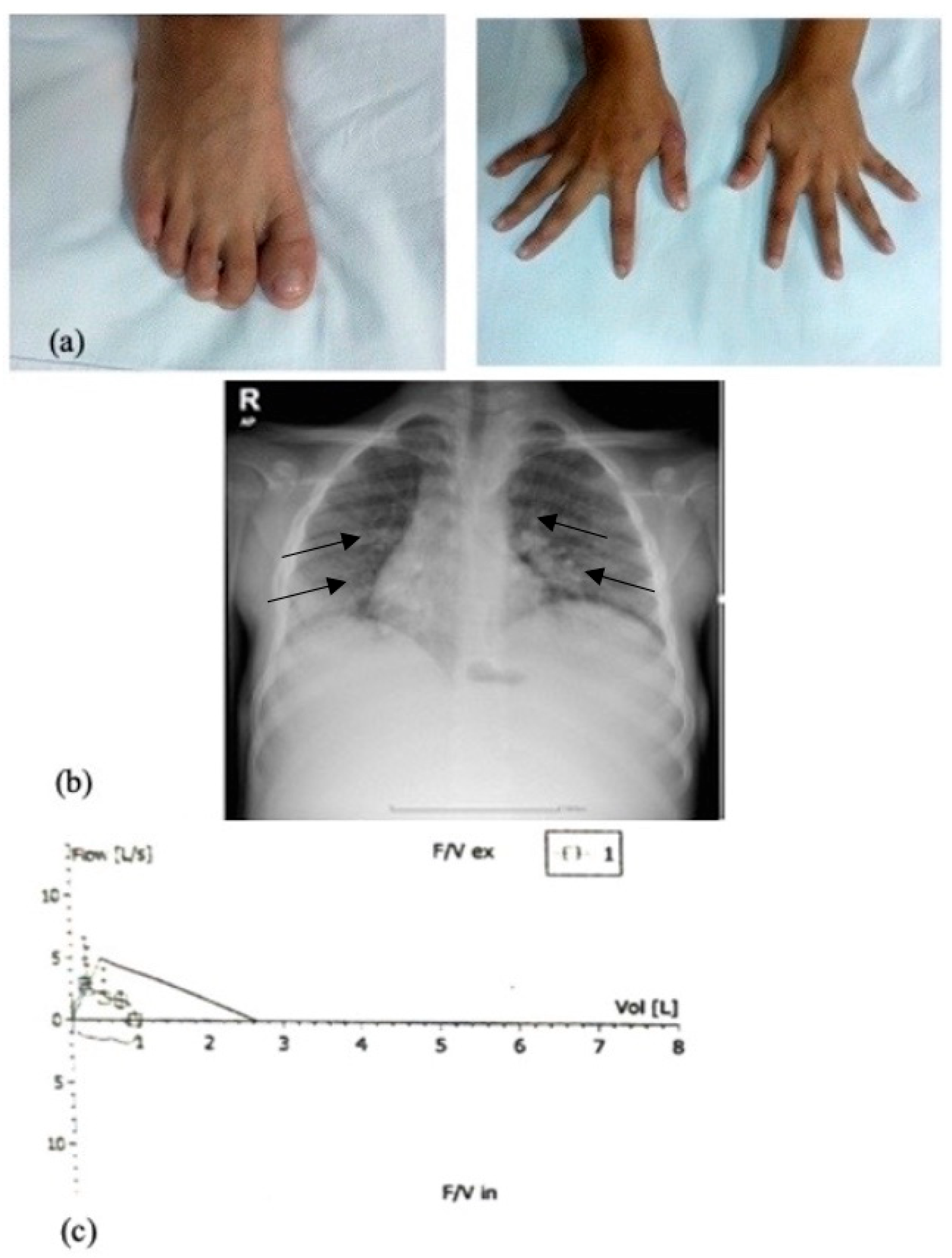 Diagnostics 15 00804 g005