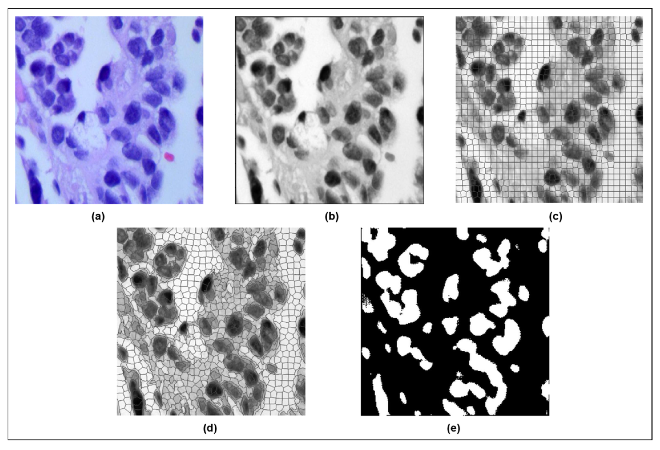 Diagnostics 15 00805 g002