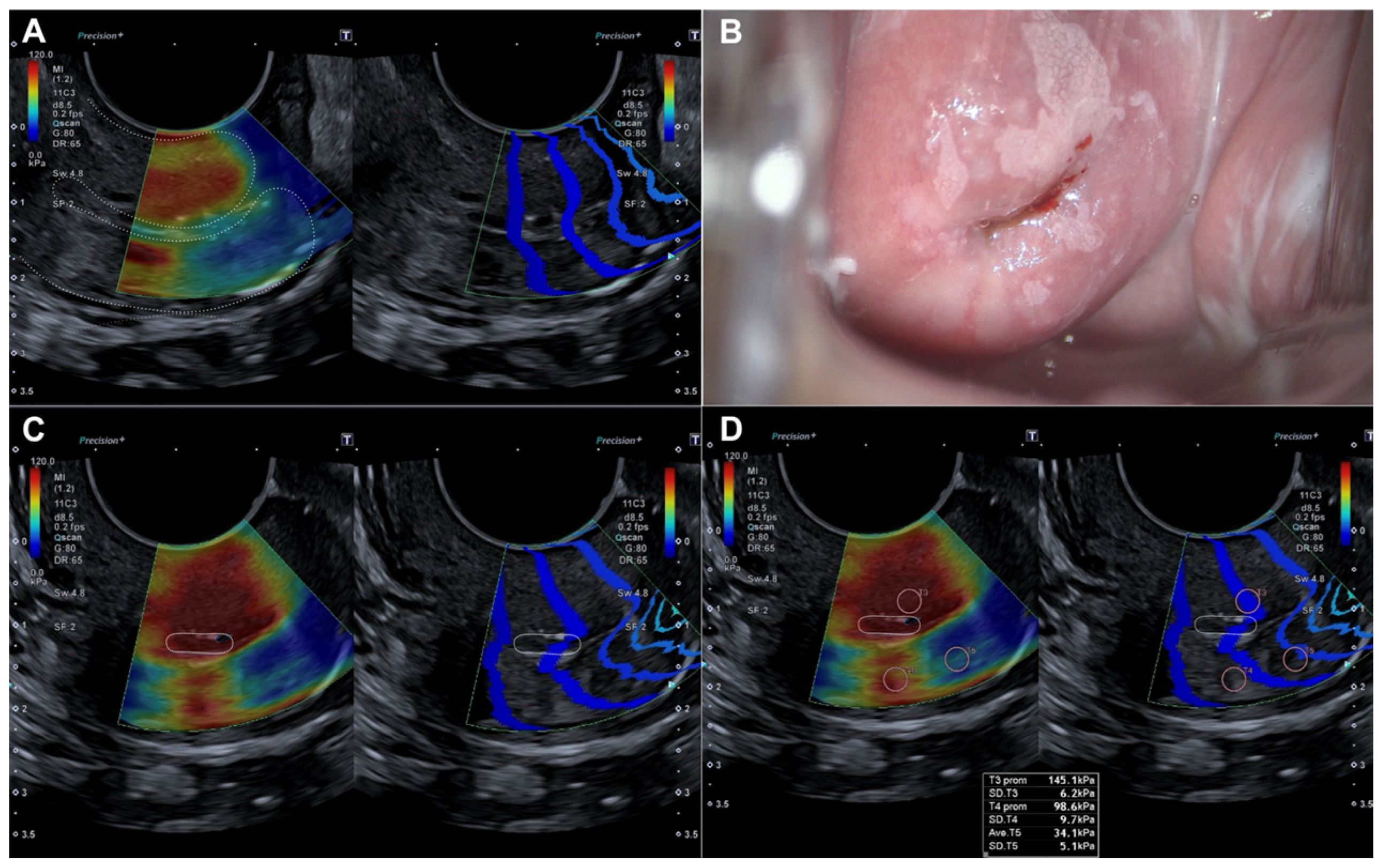 Diagnostics 15 00806 g003