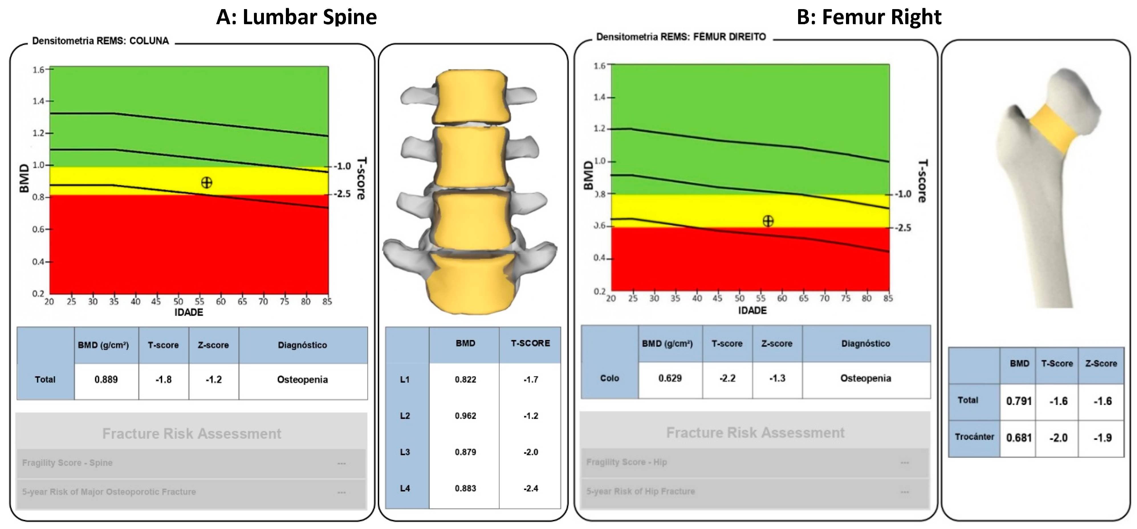 Diagnostics 15 00808 g003
