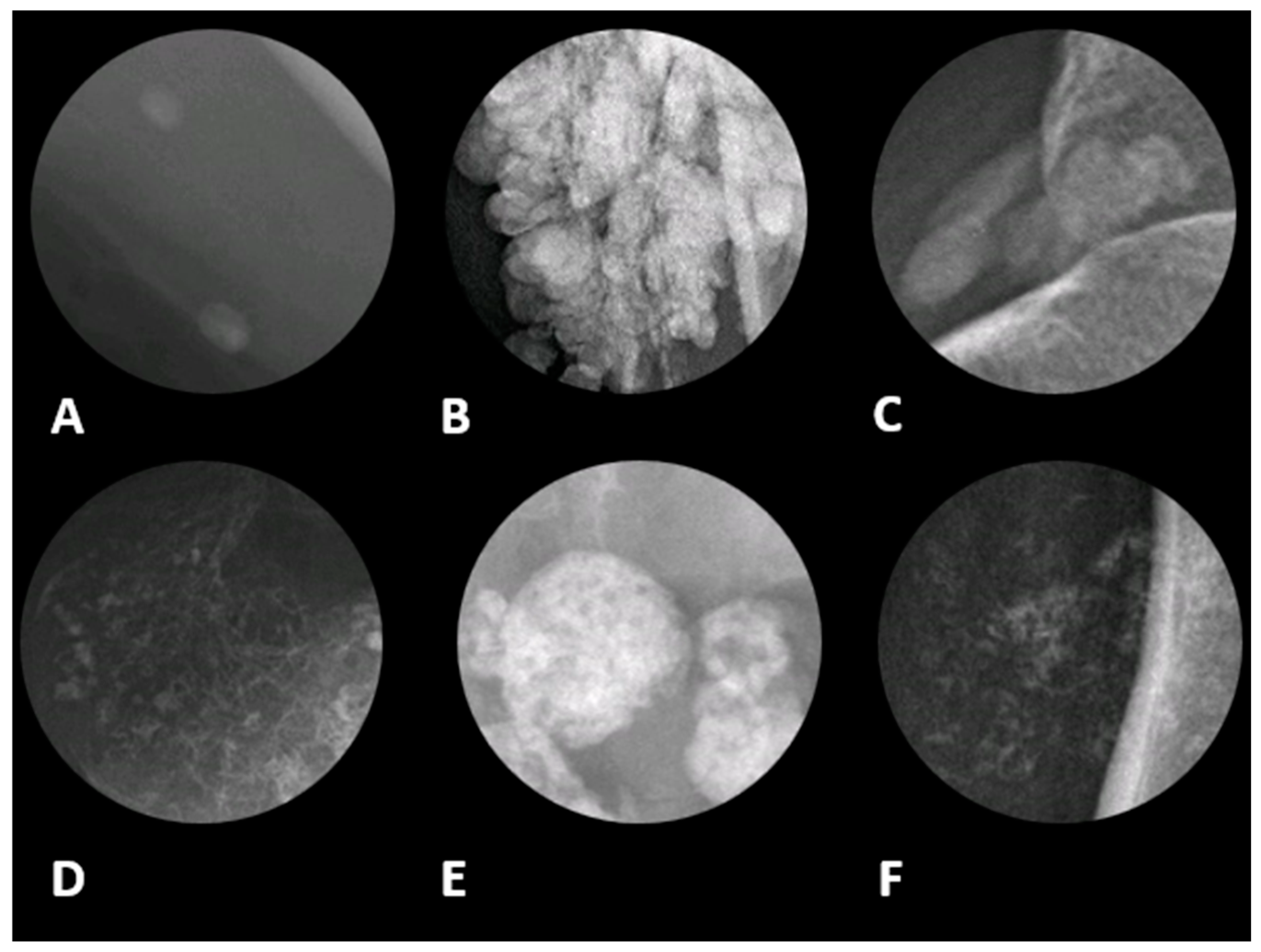 Diagnostics 15 00811 g001 Diagnostics 15 00811 g001