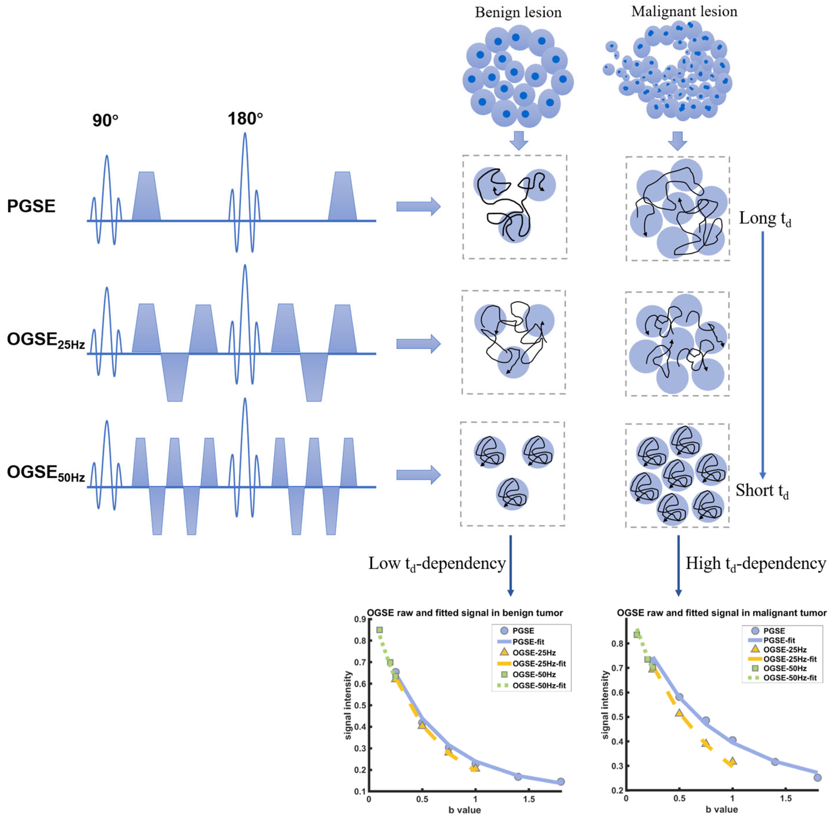 Diagnostics 15 00823 g001 Diagnostics 15 00823 g001