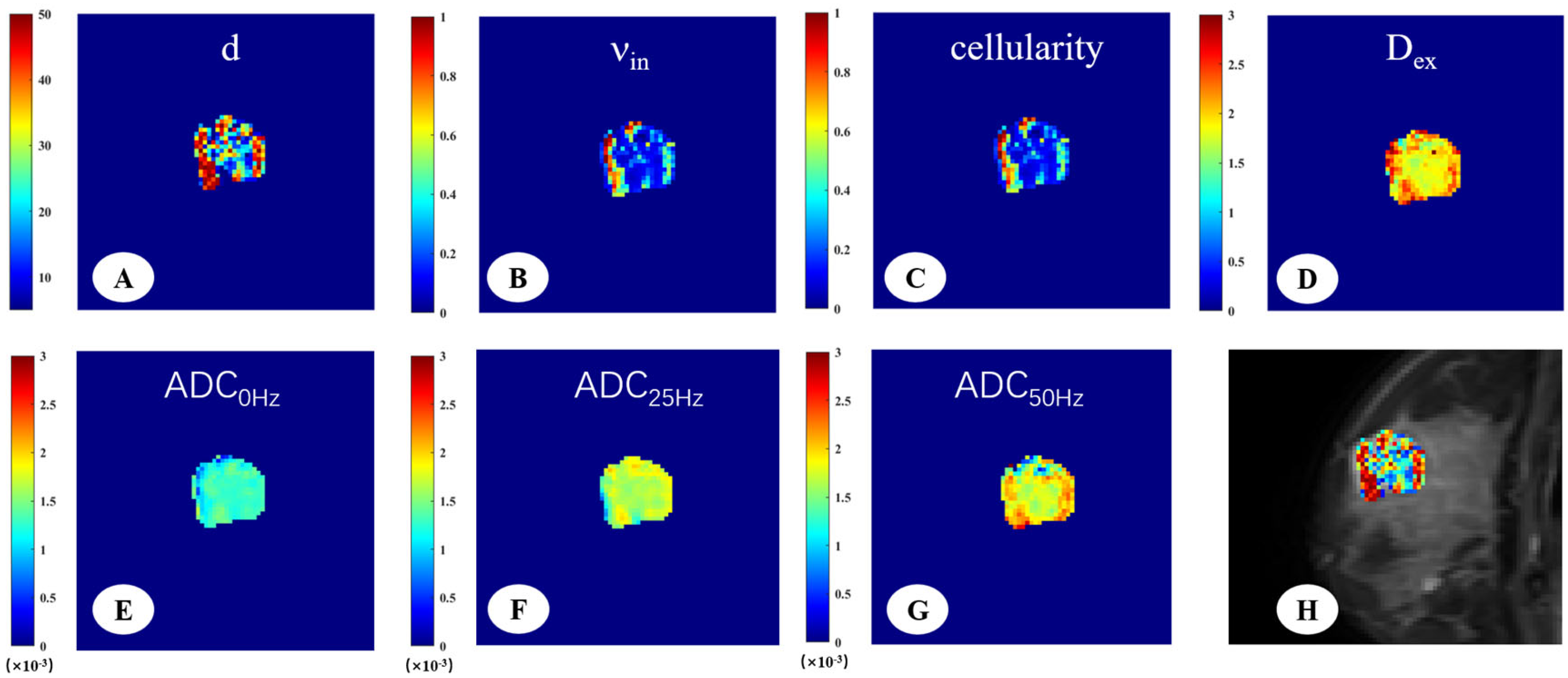 Diagnostics 15 00823 g003 Diagnostics 15 00823 g003