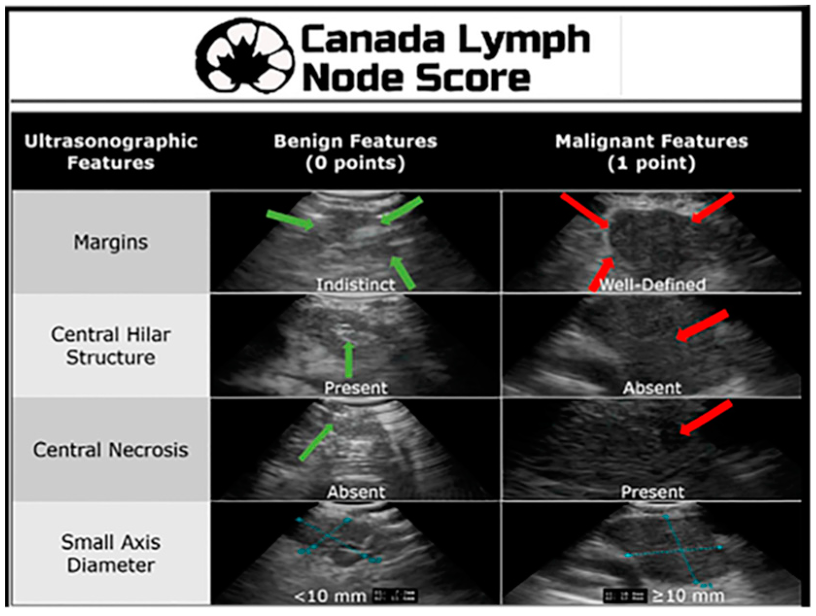 Diagnostics 15 00826 g001
