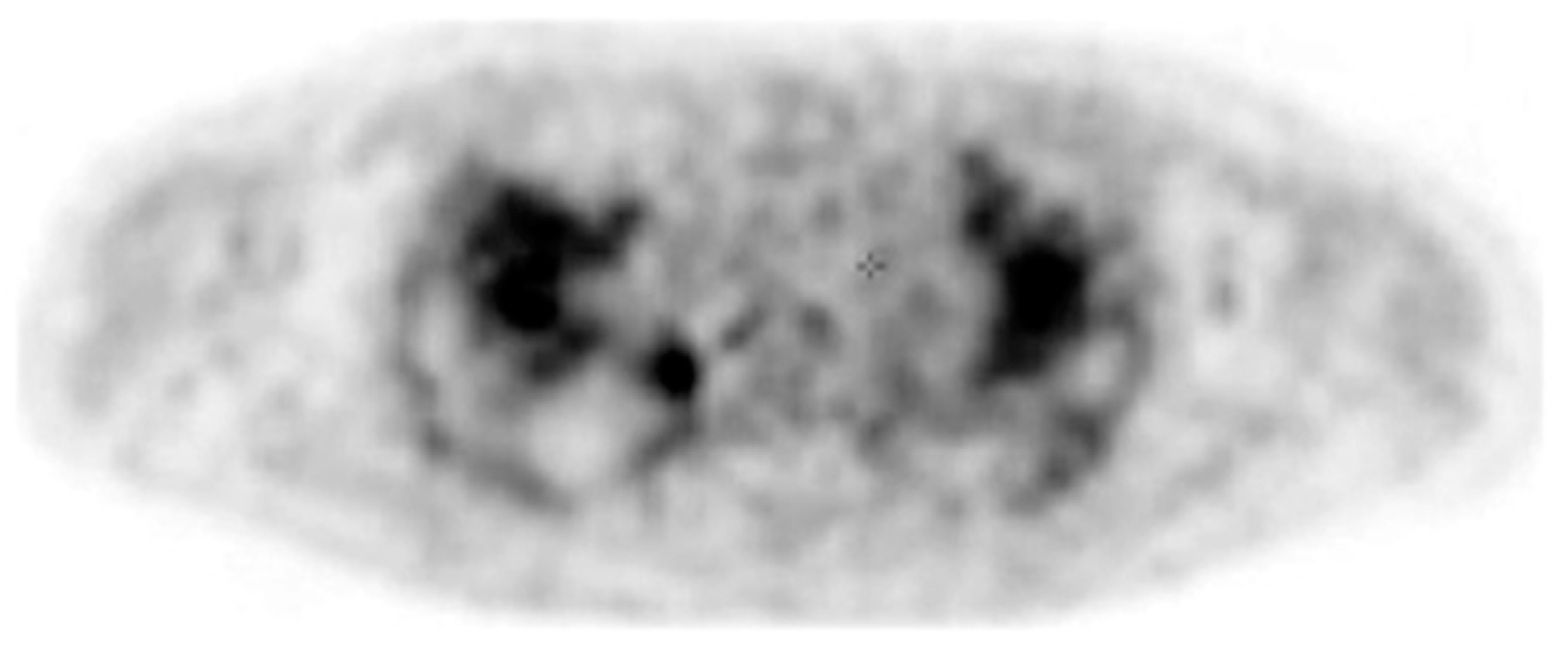 Diagnostics 15 00826 g004