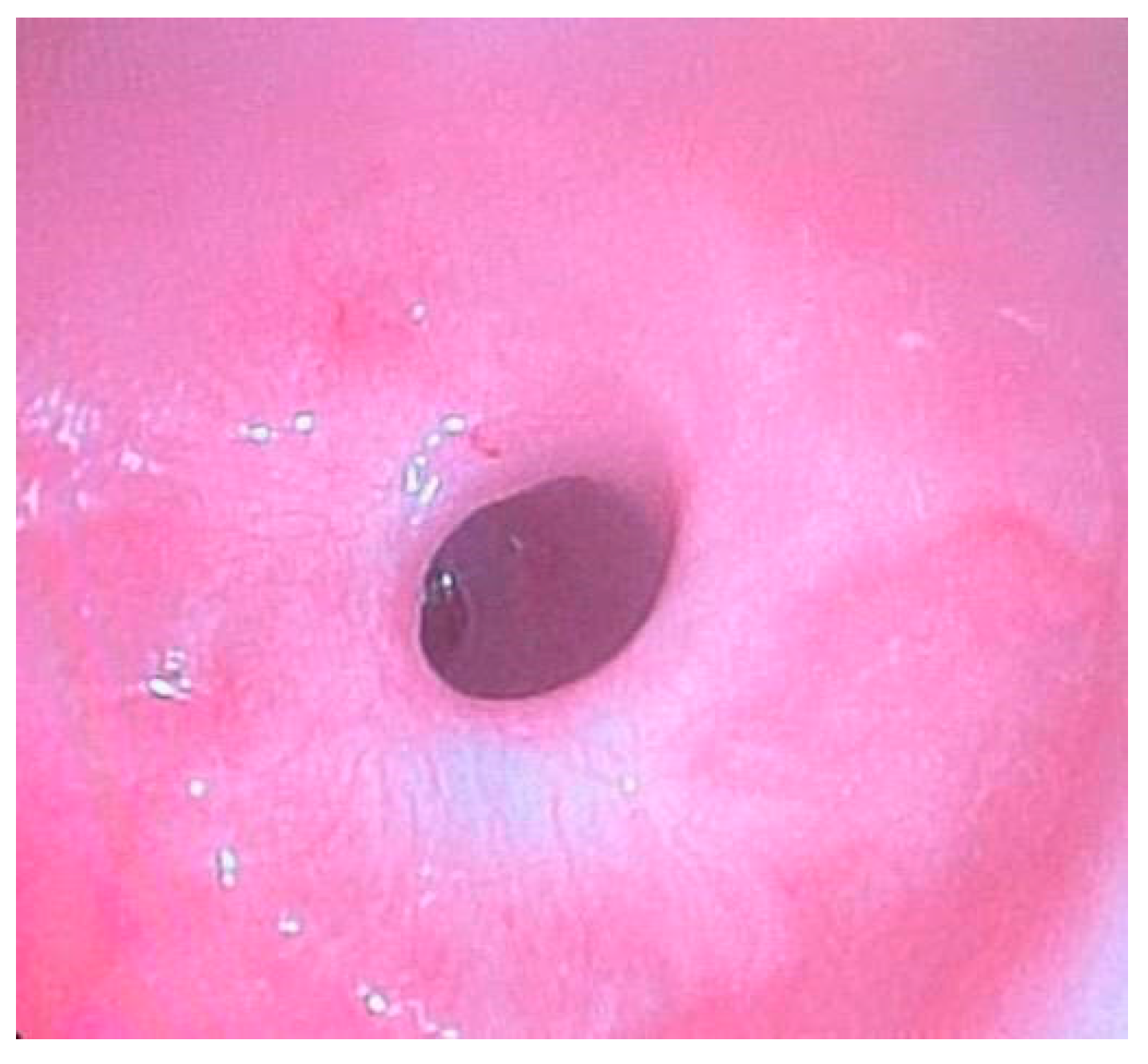 Diagnostics 15 00843 g005