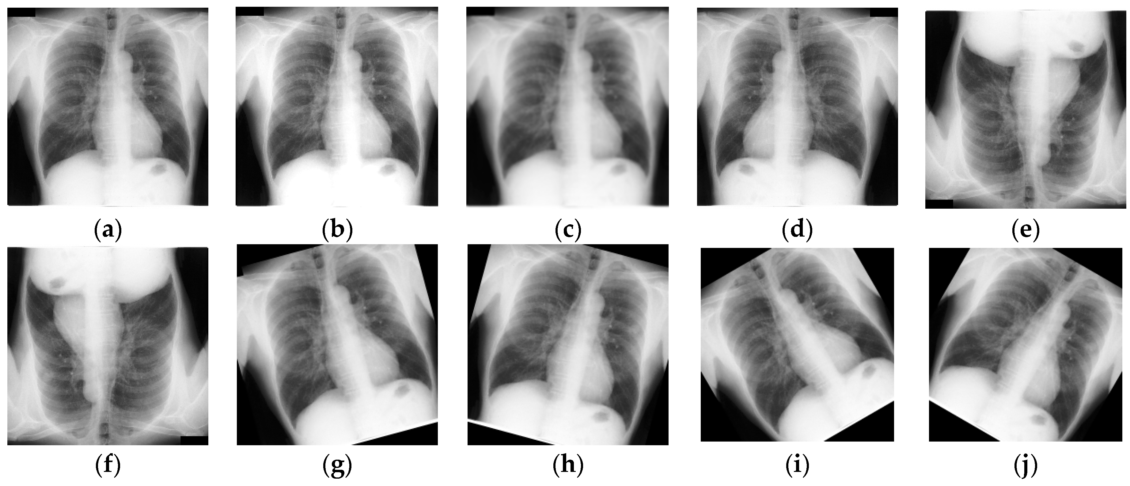Diagnostics 15 00854 g002