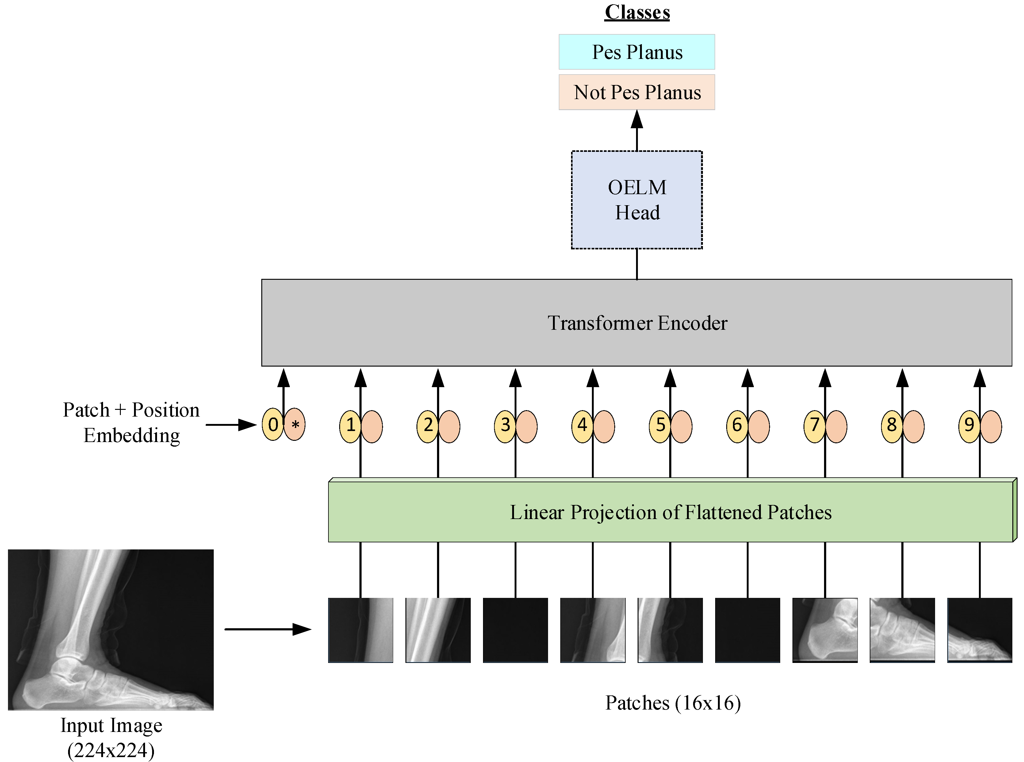 Diagnostics 15 00867 g001