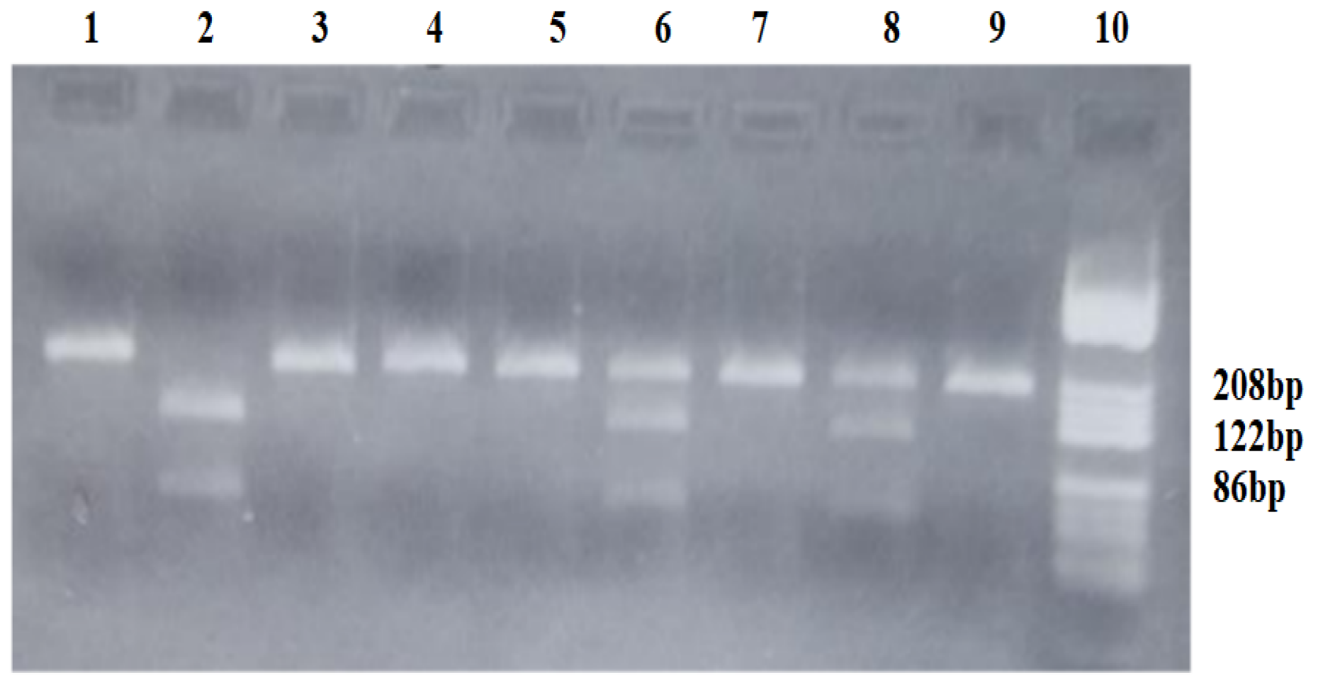 Diagnostics 15 00868 g001