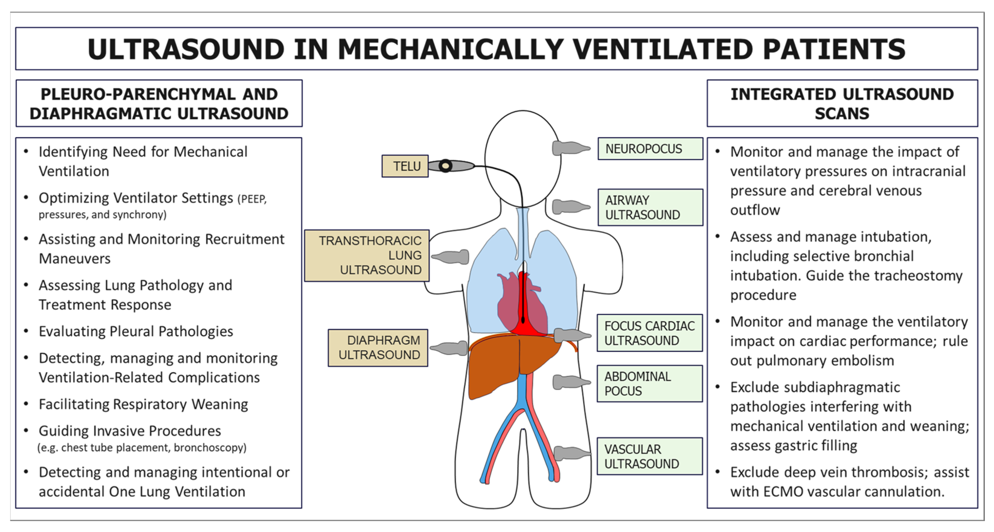 Diagnostics 15 00870 g001
