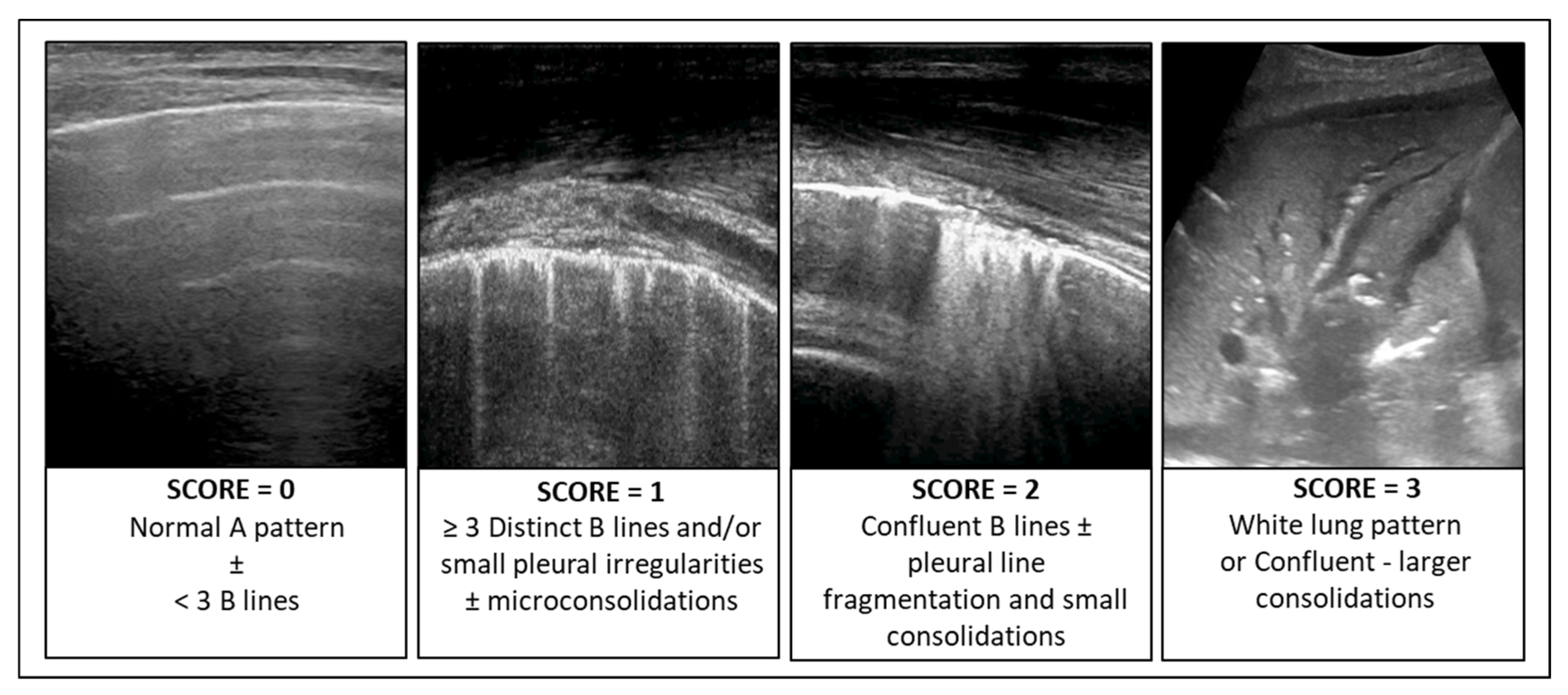 Diagnostics 15 00870 g003