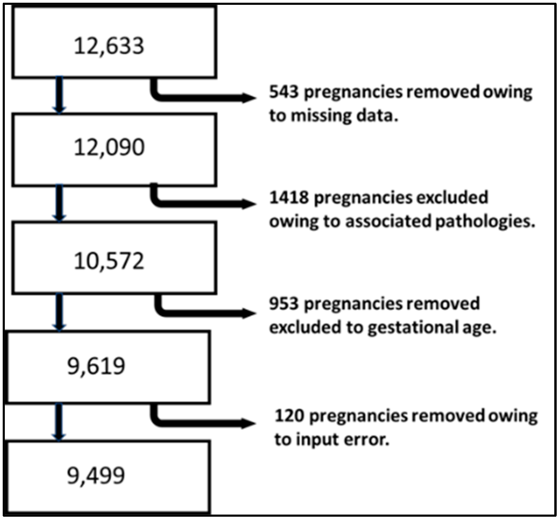 Diagnostics 15 00877 g001