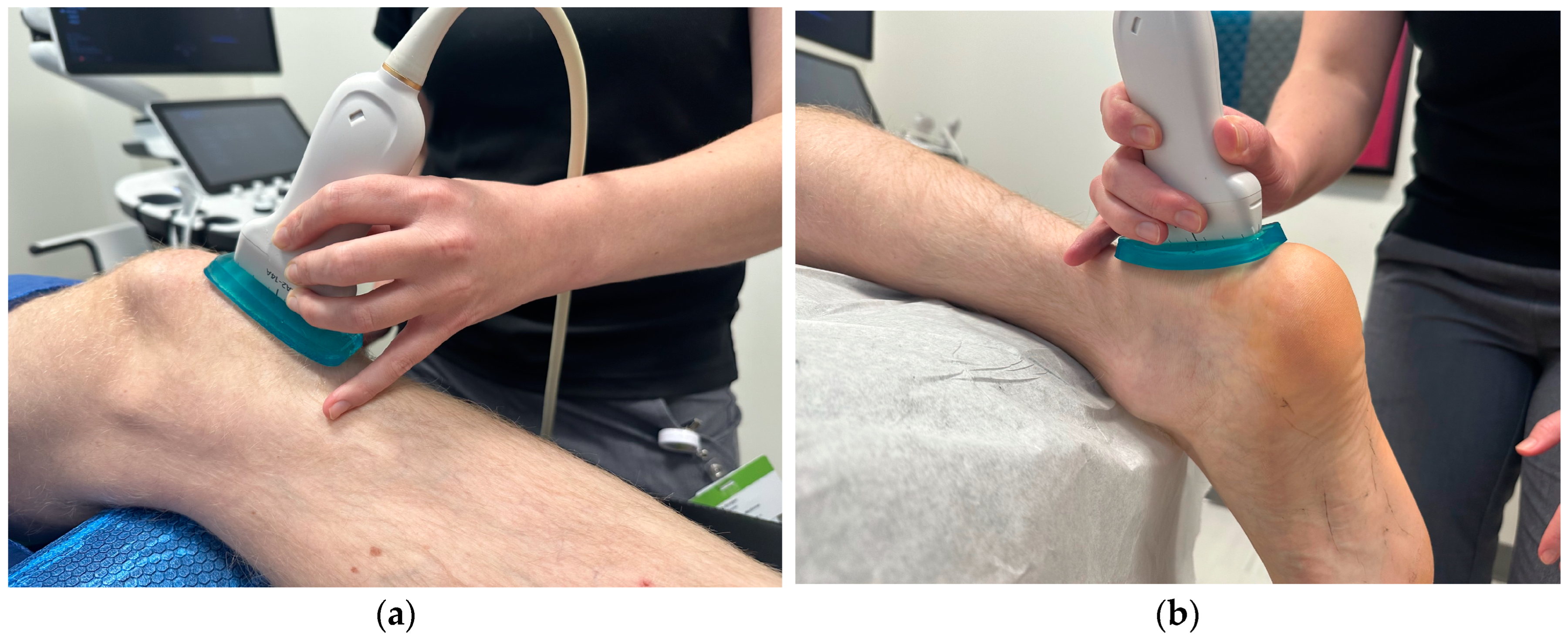 Diagnostics 15 00879 g001