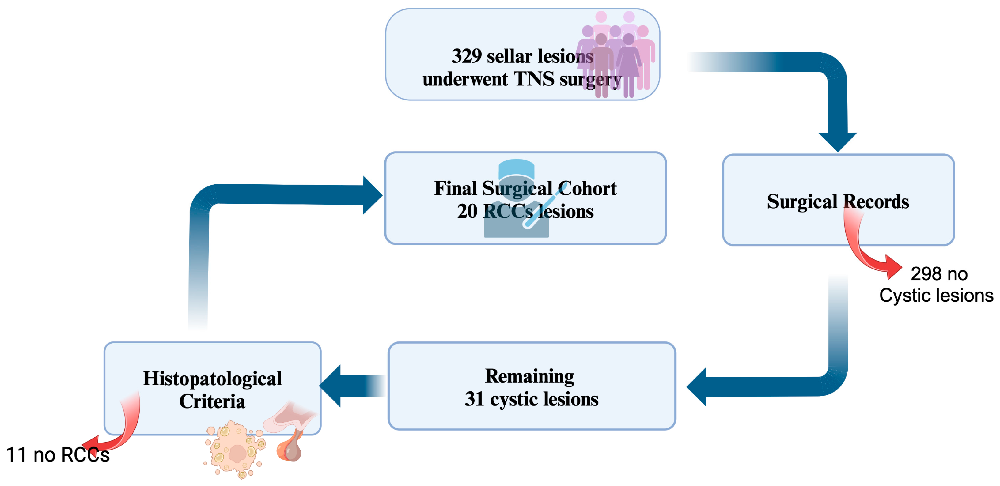 Diagnostics 15 00886 g001