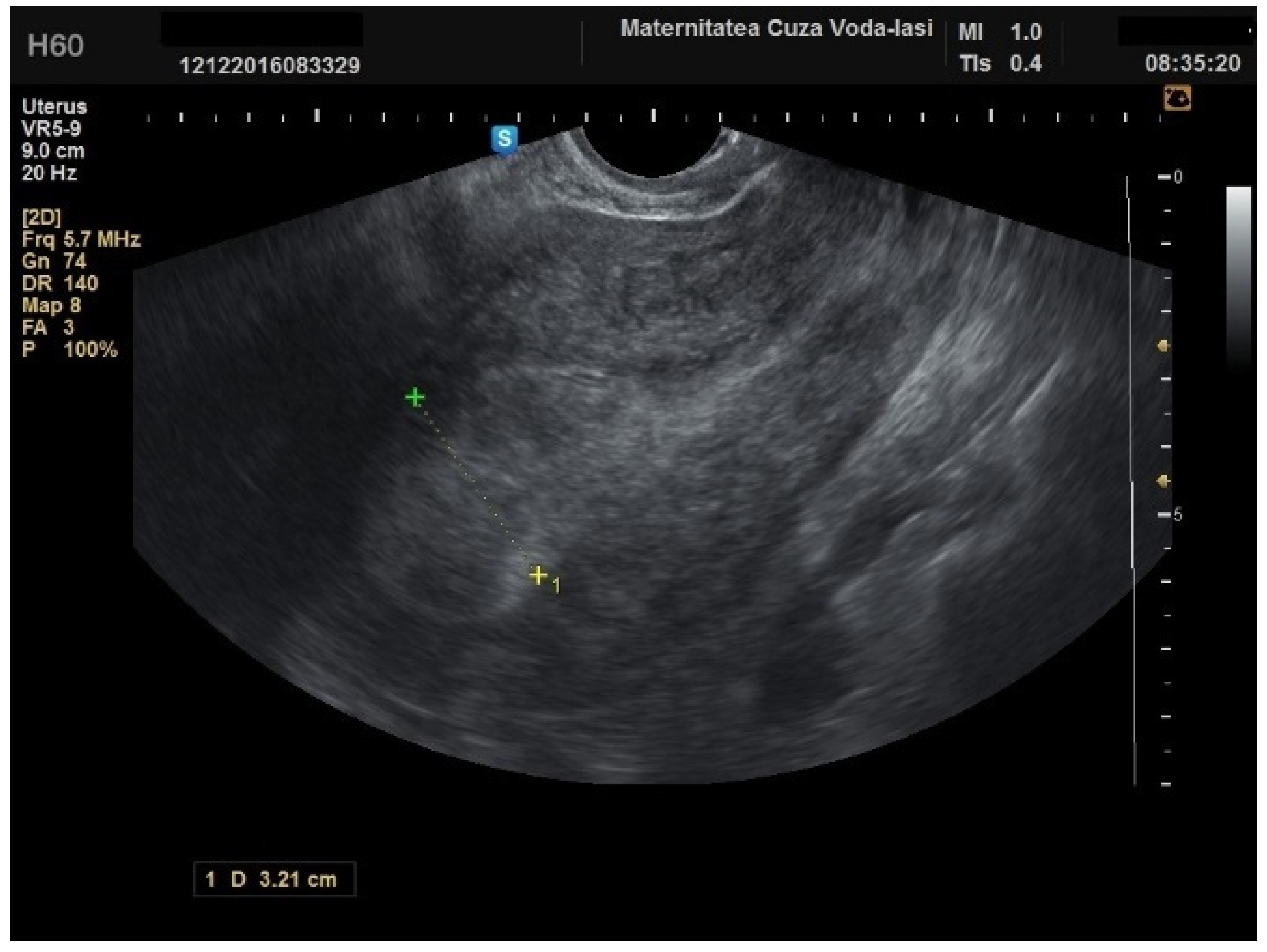 Diagnostics 15 00891 g002