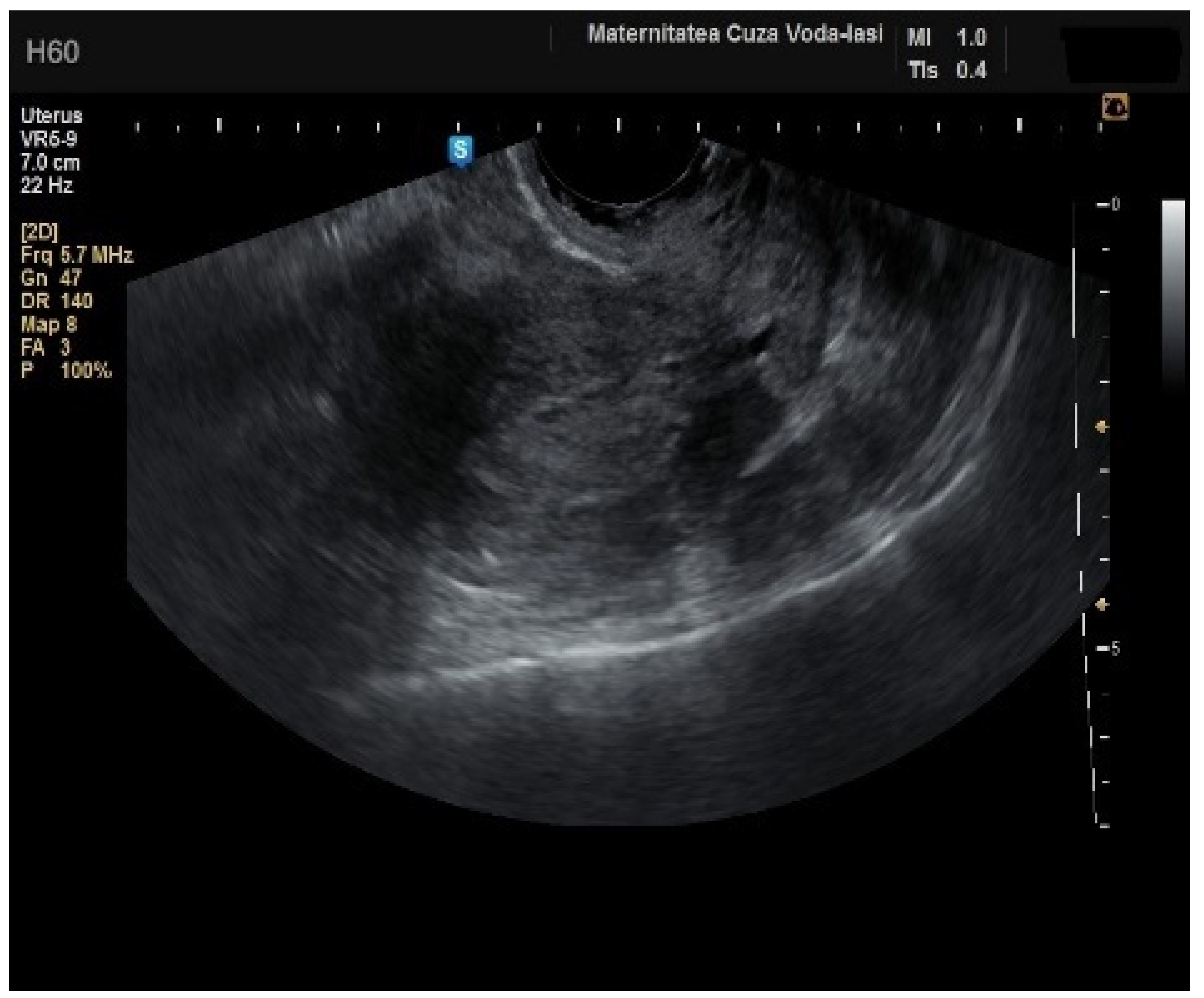 Diagnostics 15 00891 g005
