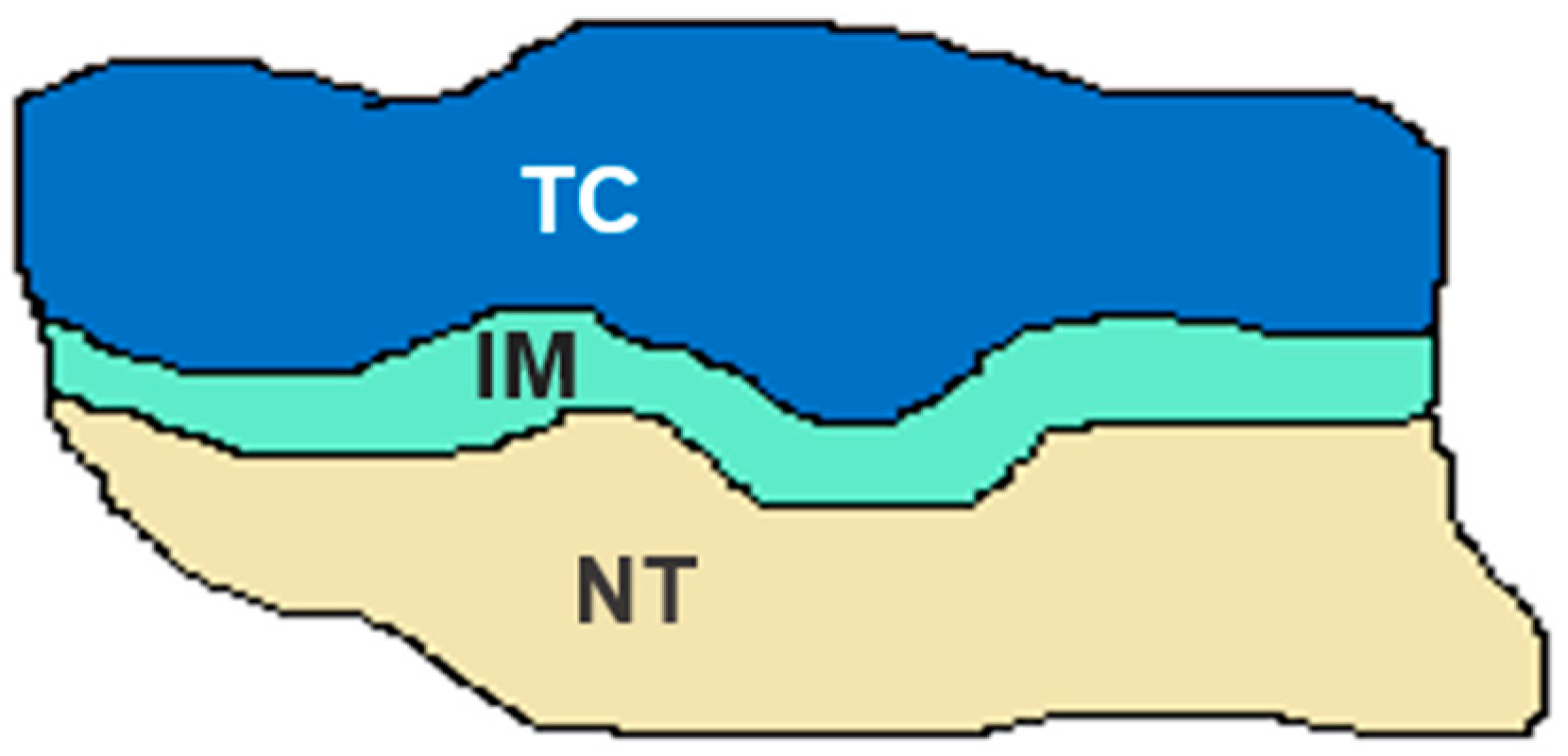 Diagnostics 15 00913 g005