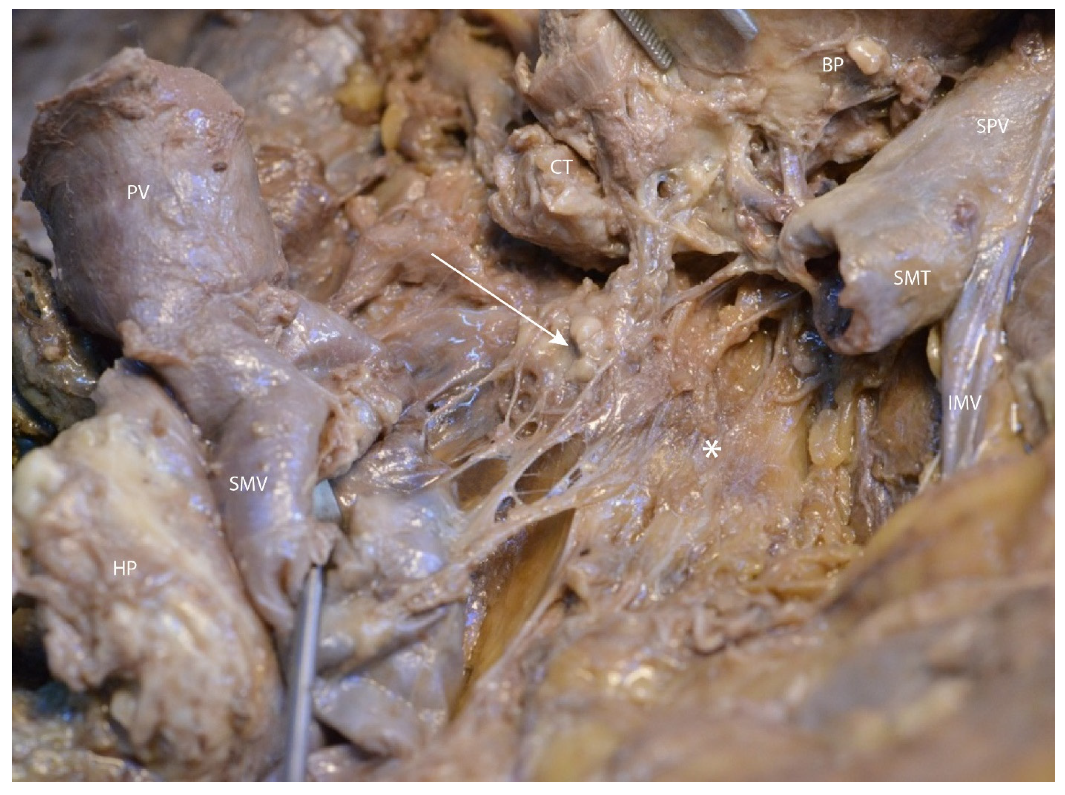 Diagnostics 15 00914 g009