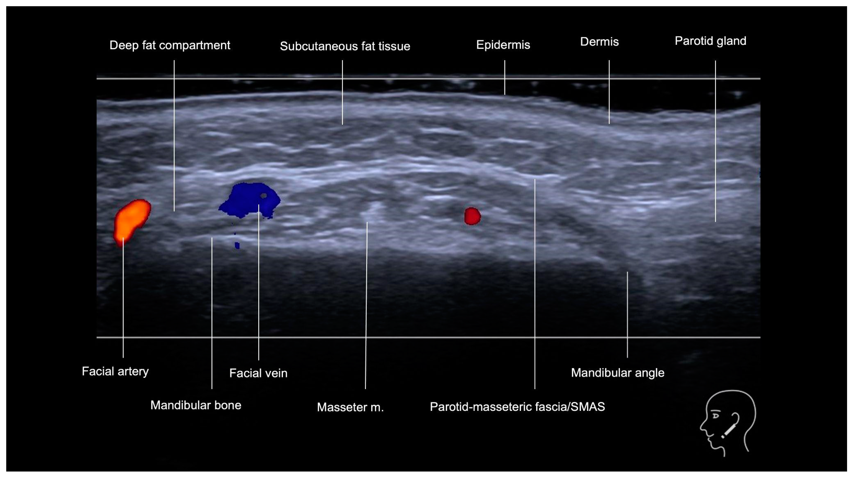 Diagnostics 15 00921 g001