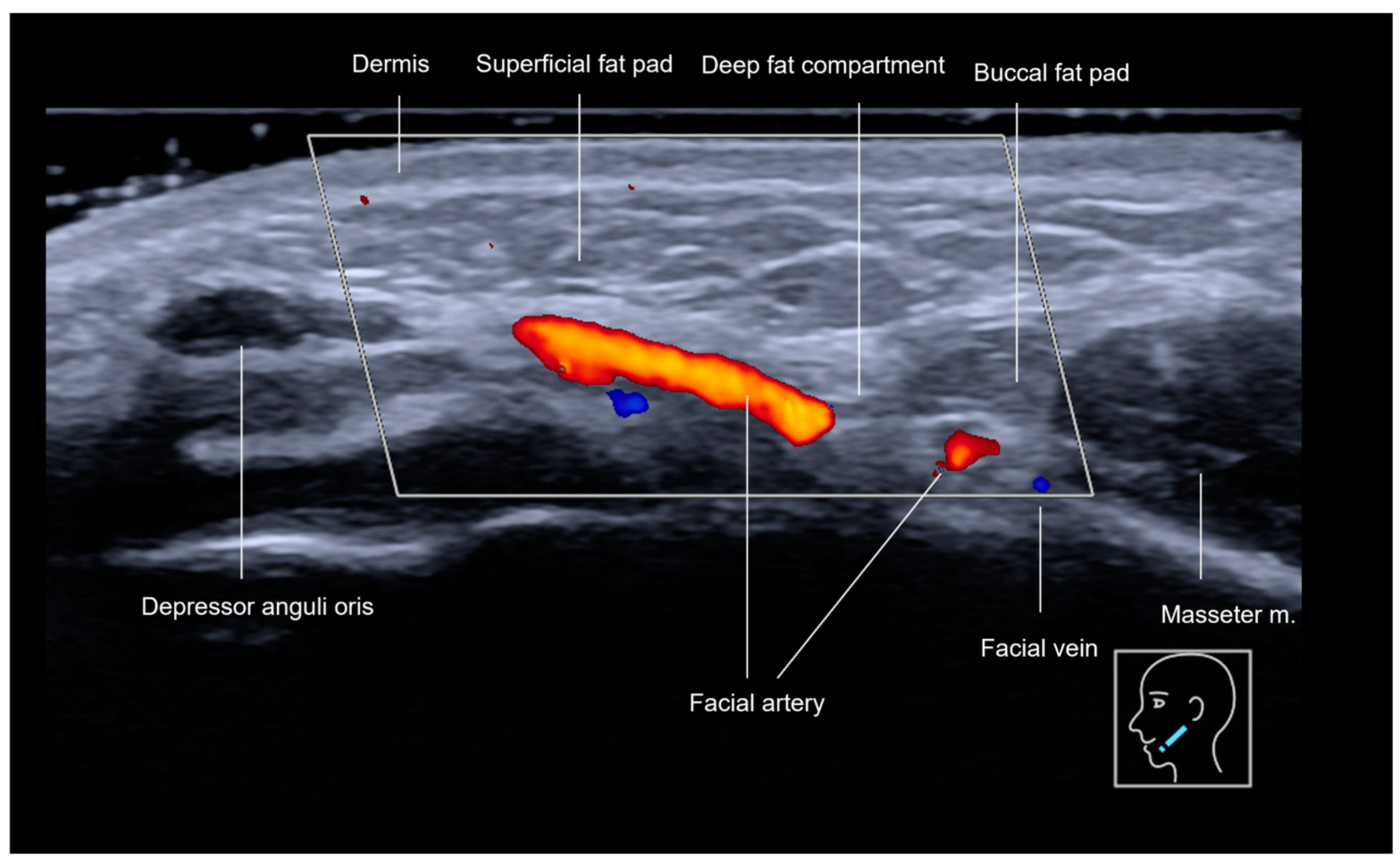 Diagnostics 15 00921 g002